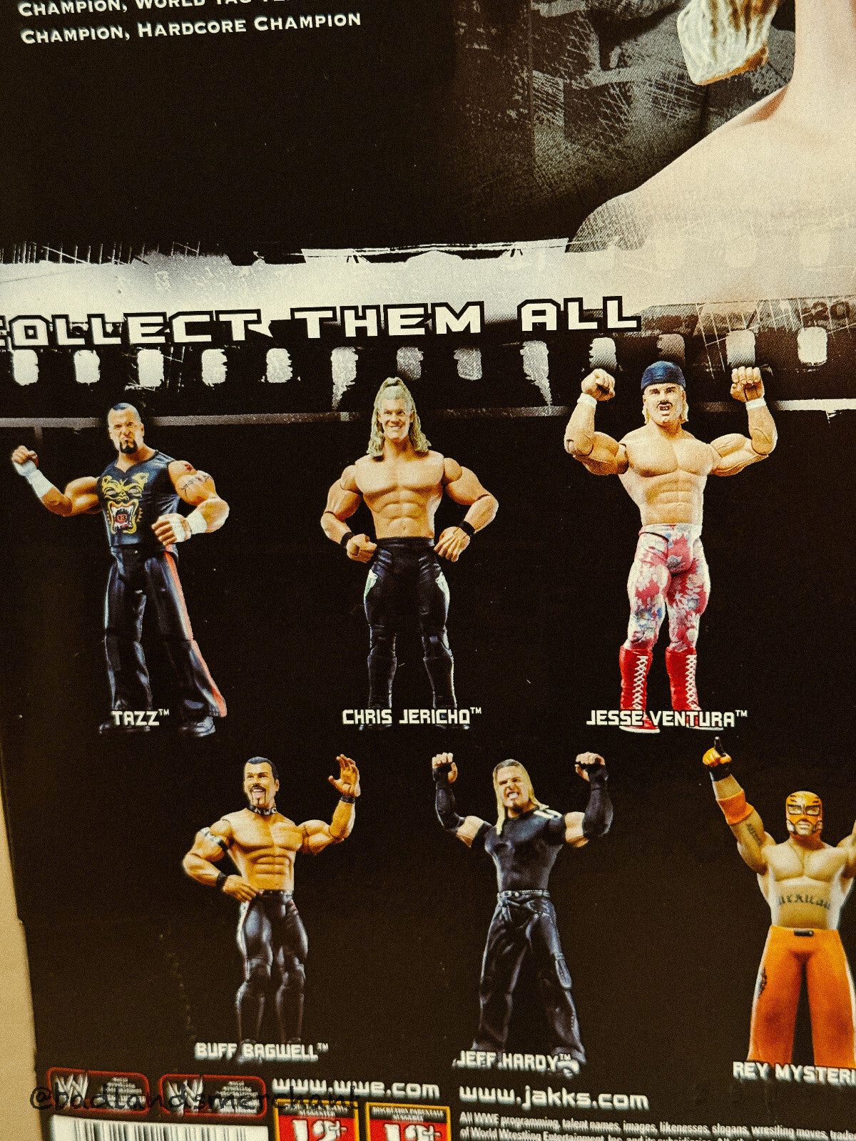 Jakks Pacific WWE Classic Superstars 21 Chris Jericho 6