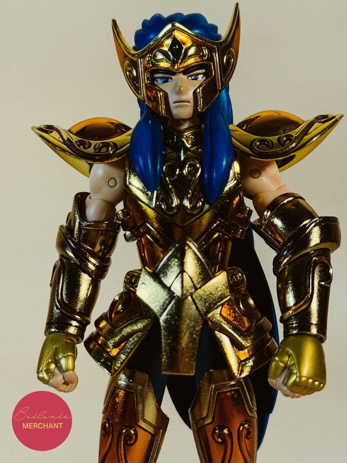 Saint Seiya Myth Cloth AQUARIUS CAMUS Gold Saint Figure Bandai
