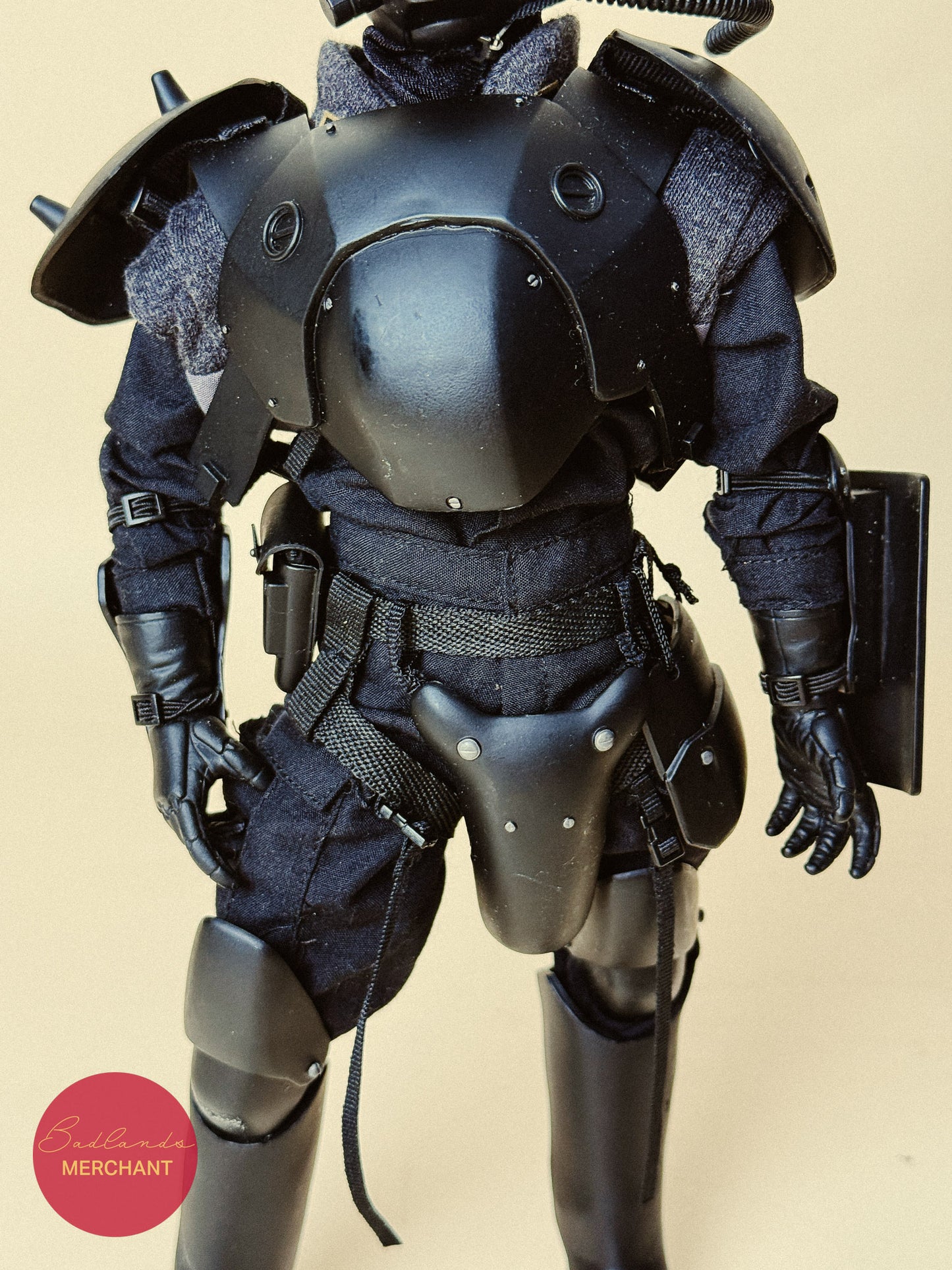 Stray Dog Kerberos Panzer Cops 1/6 Figure Dragon Models