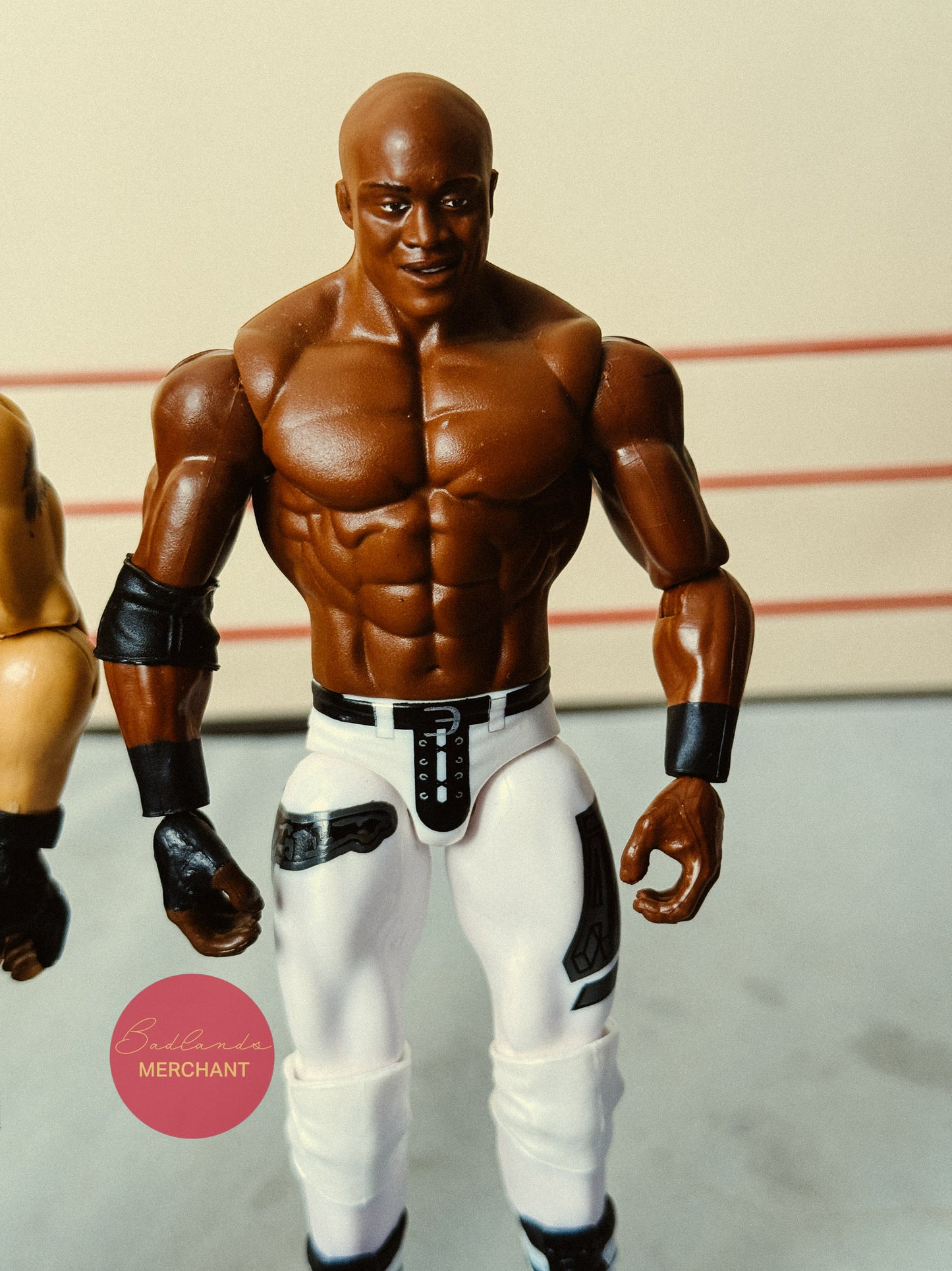 Brock Lesnar & Bobby Lashley WWE Showdown 2-Packs Series 16