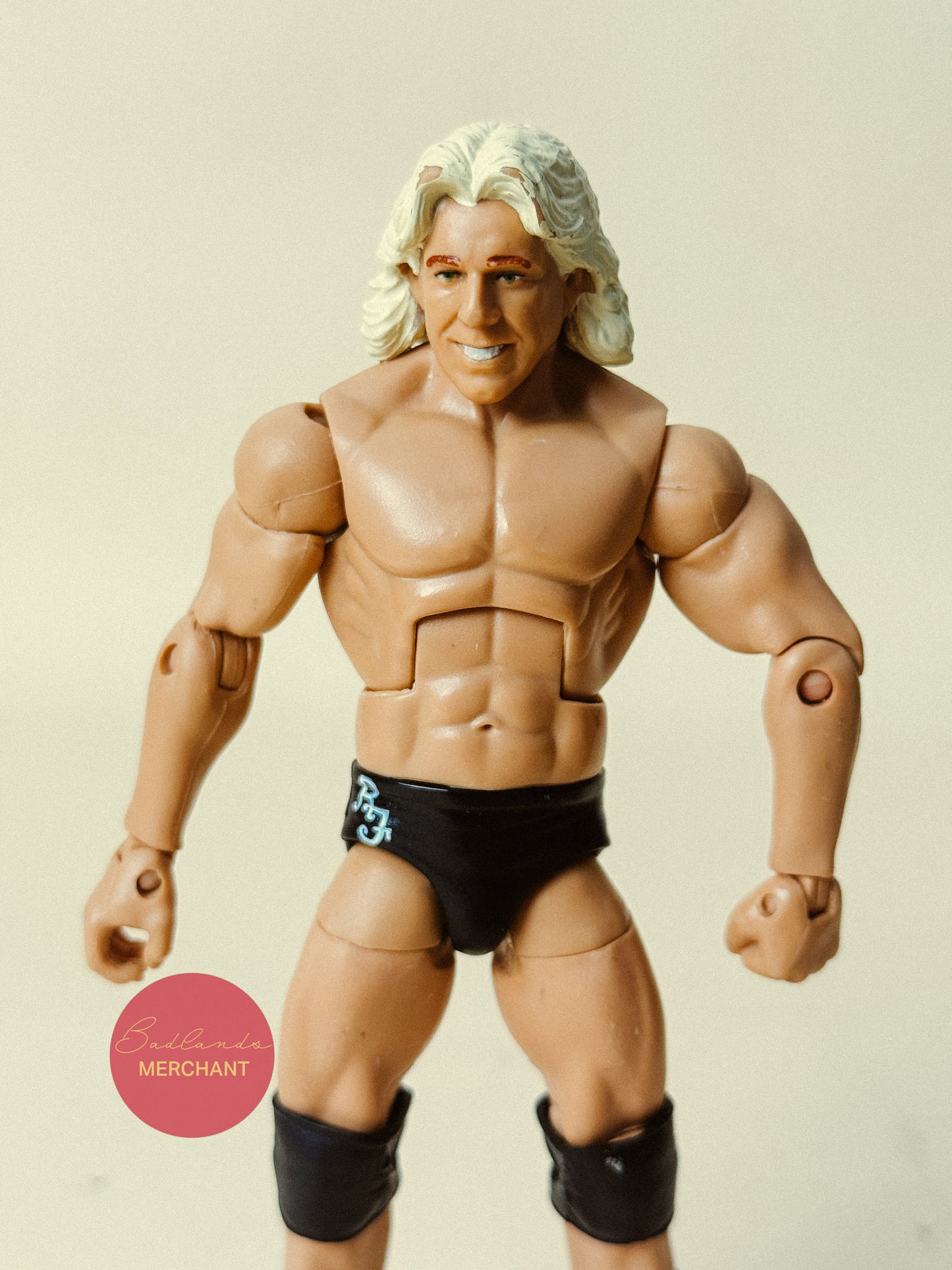WWE Elite Four Horseman Hall of Fame Ric Flair Figure