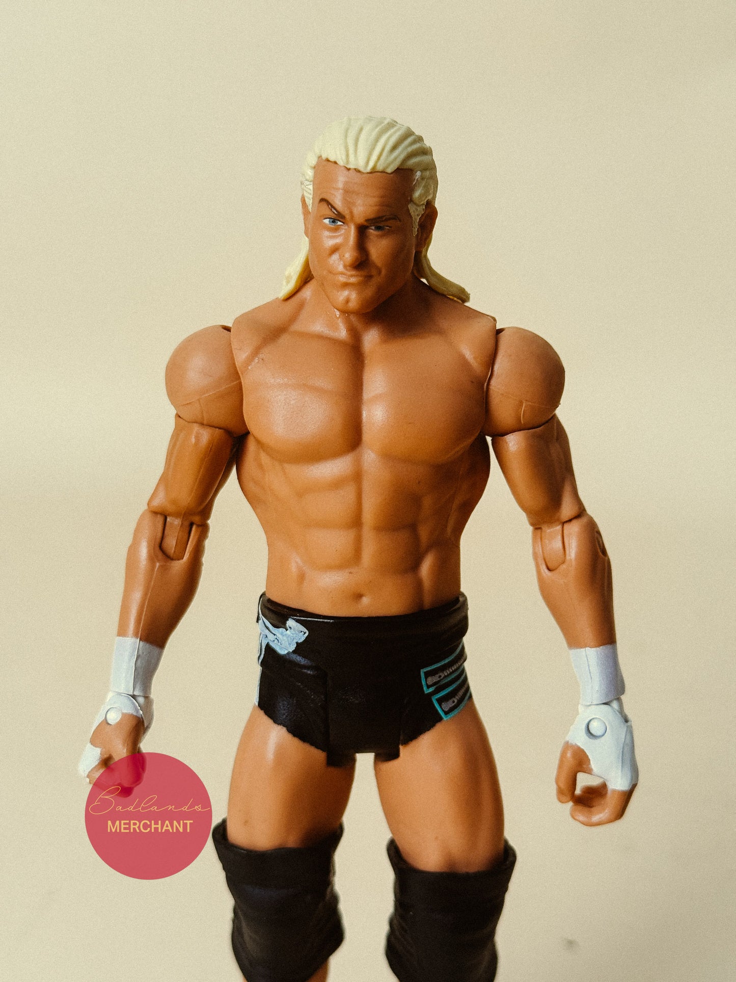 WWE Dolph Ziggler Basic Figure