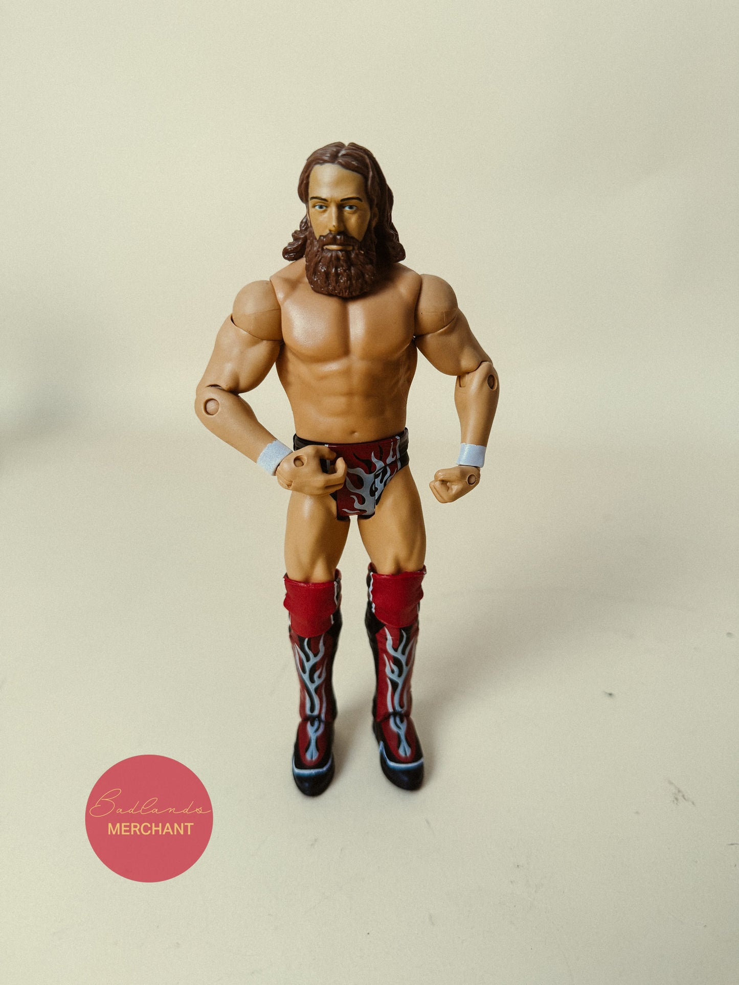 WWE Daniel Bryan Basic Figure Battle Pack 32