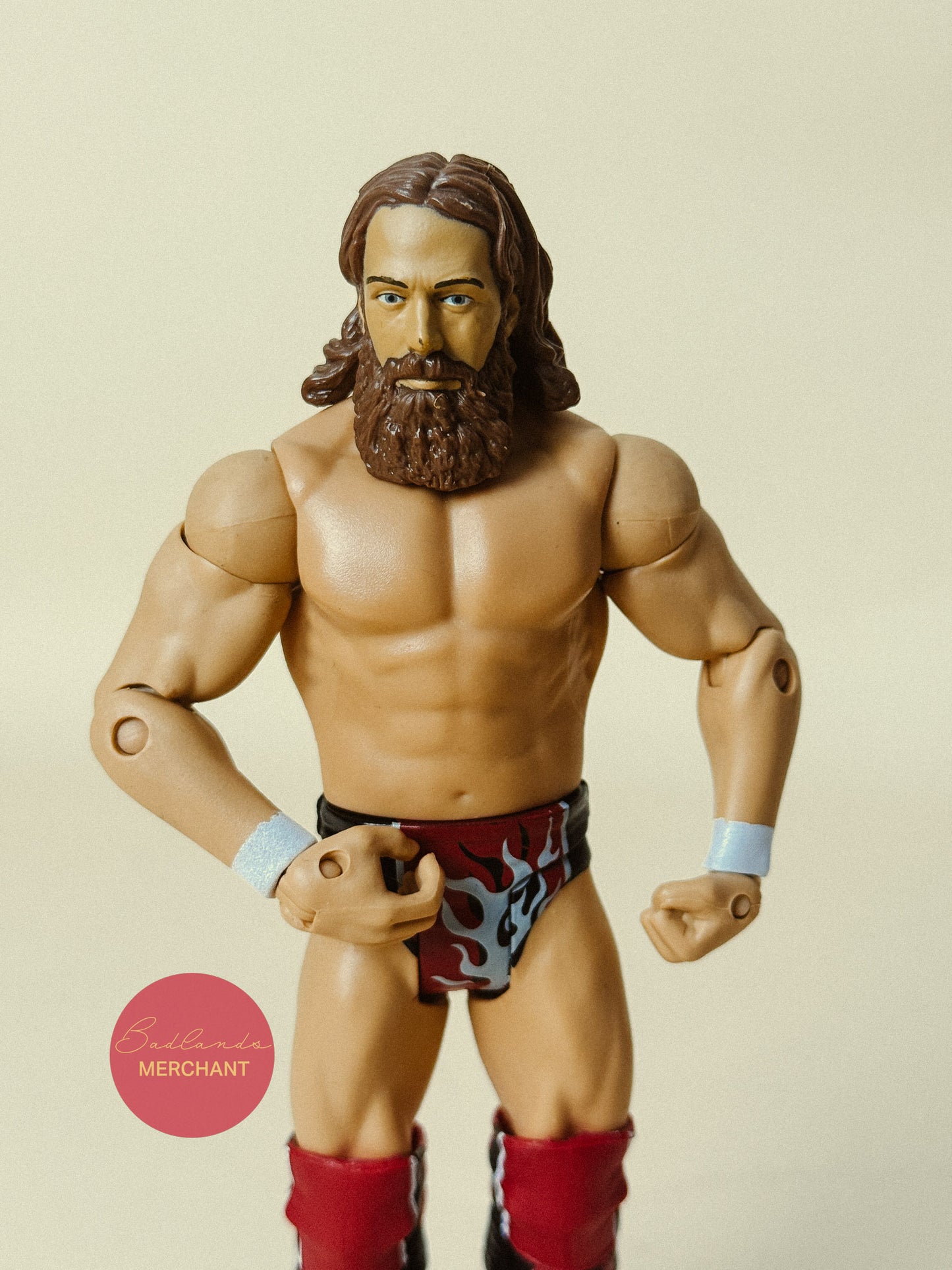 WWE Daniel Bryan Basic Figure Battle Pack 32