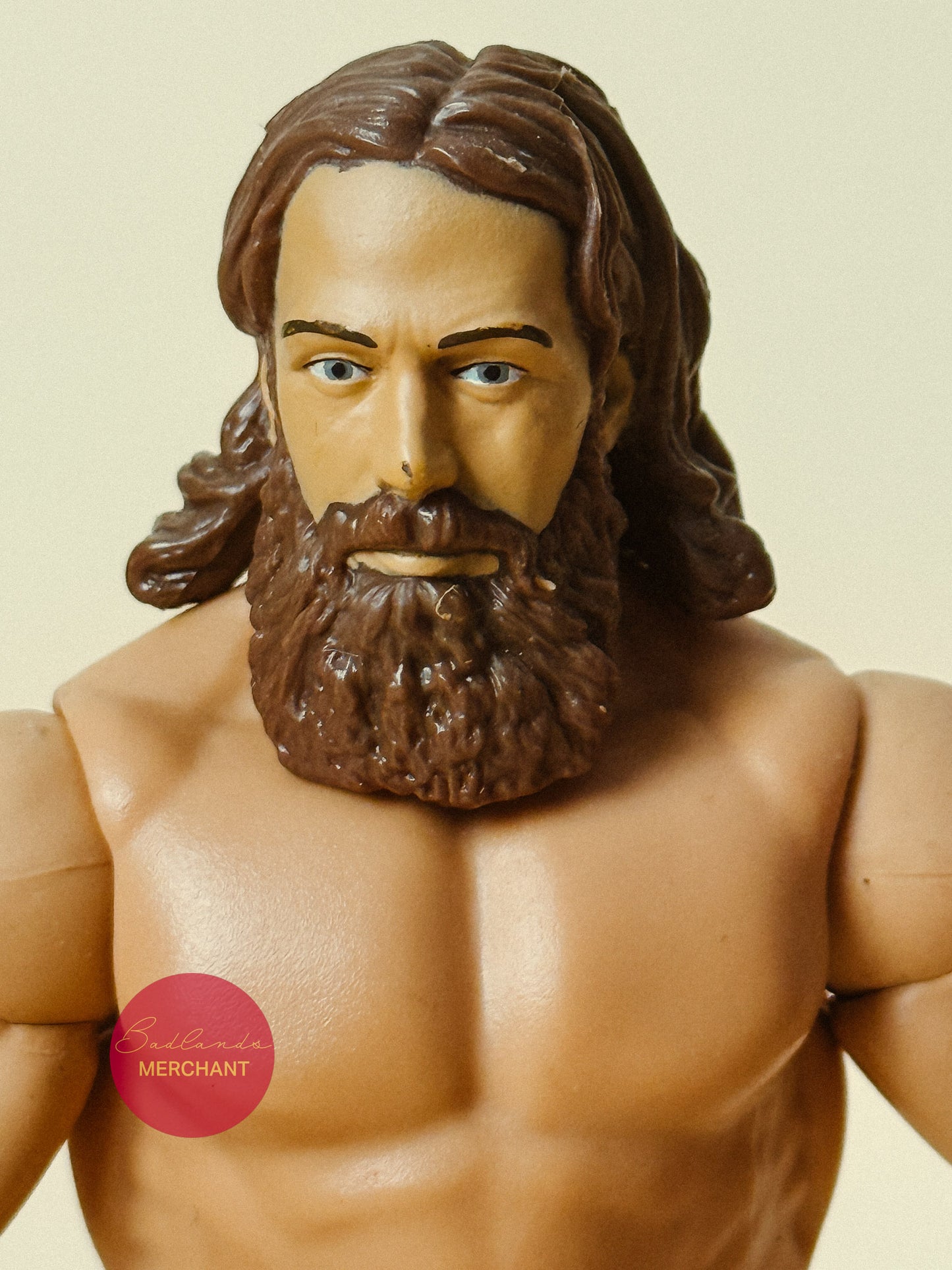 WWE Daniel Bryan Basic Figure Battle Pack 32