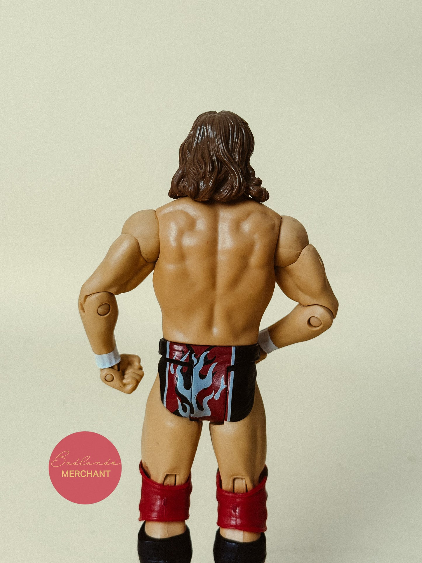 WWE Daniel Bryan Basic Figure Battle Pack 32
