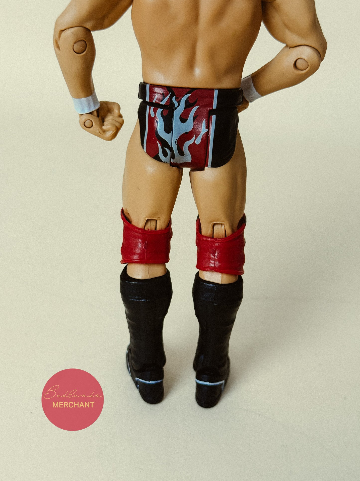 WWE Daniel Bryan Basic Figure Battle Pack 32