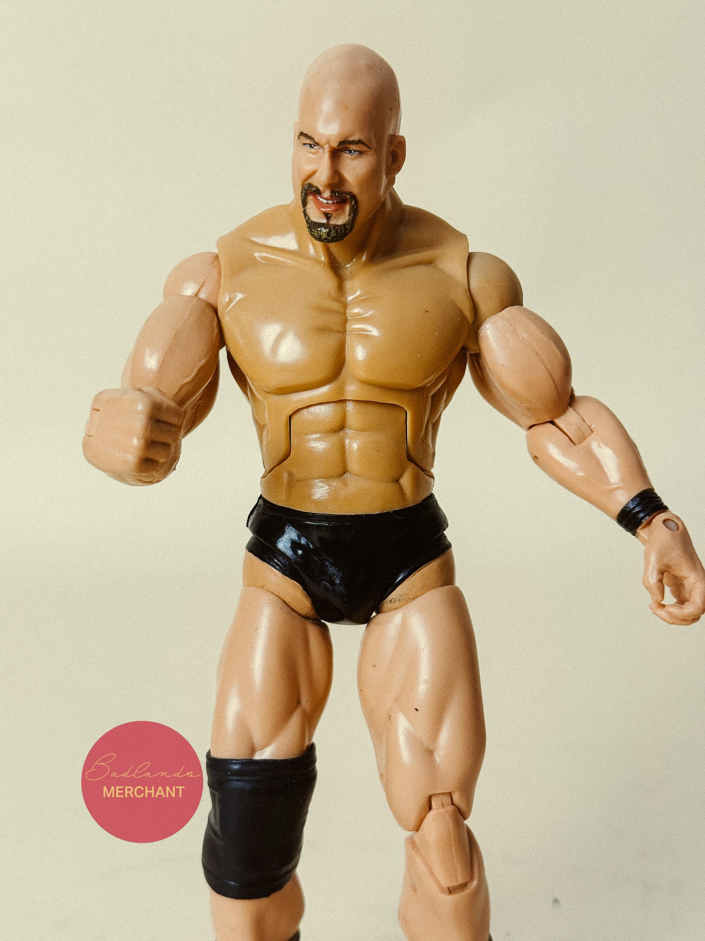 WWE Jakks Stone Cold Steve Austin Deluxe Figure