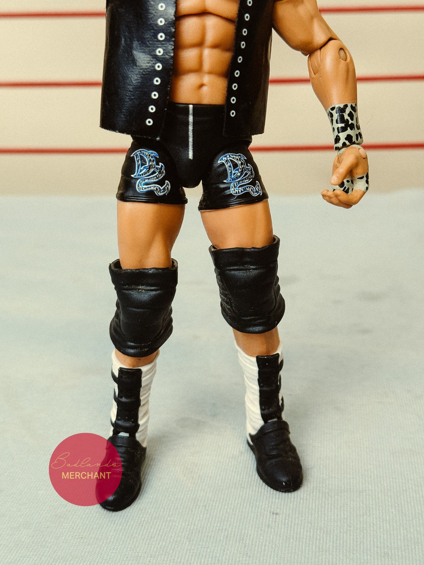 WWE Dolph Ziggler Mattel Elite 5 Figure