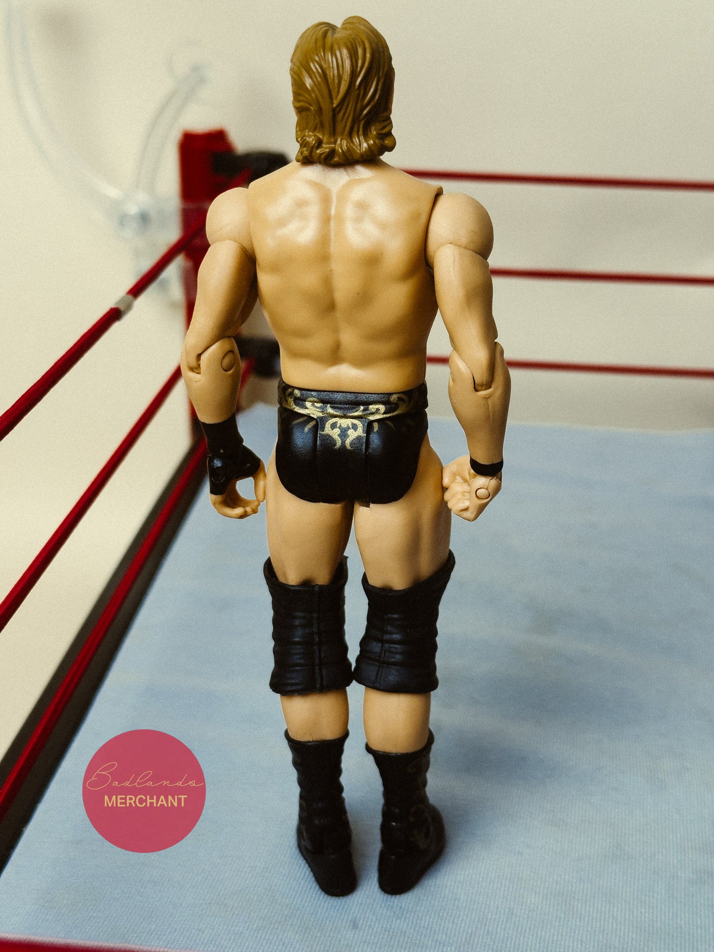 WWE Mattel William Regal Basic Figure Series 4
