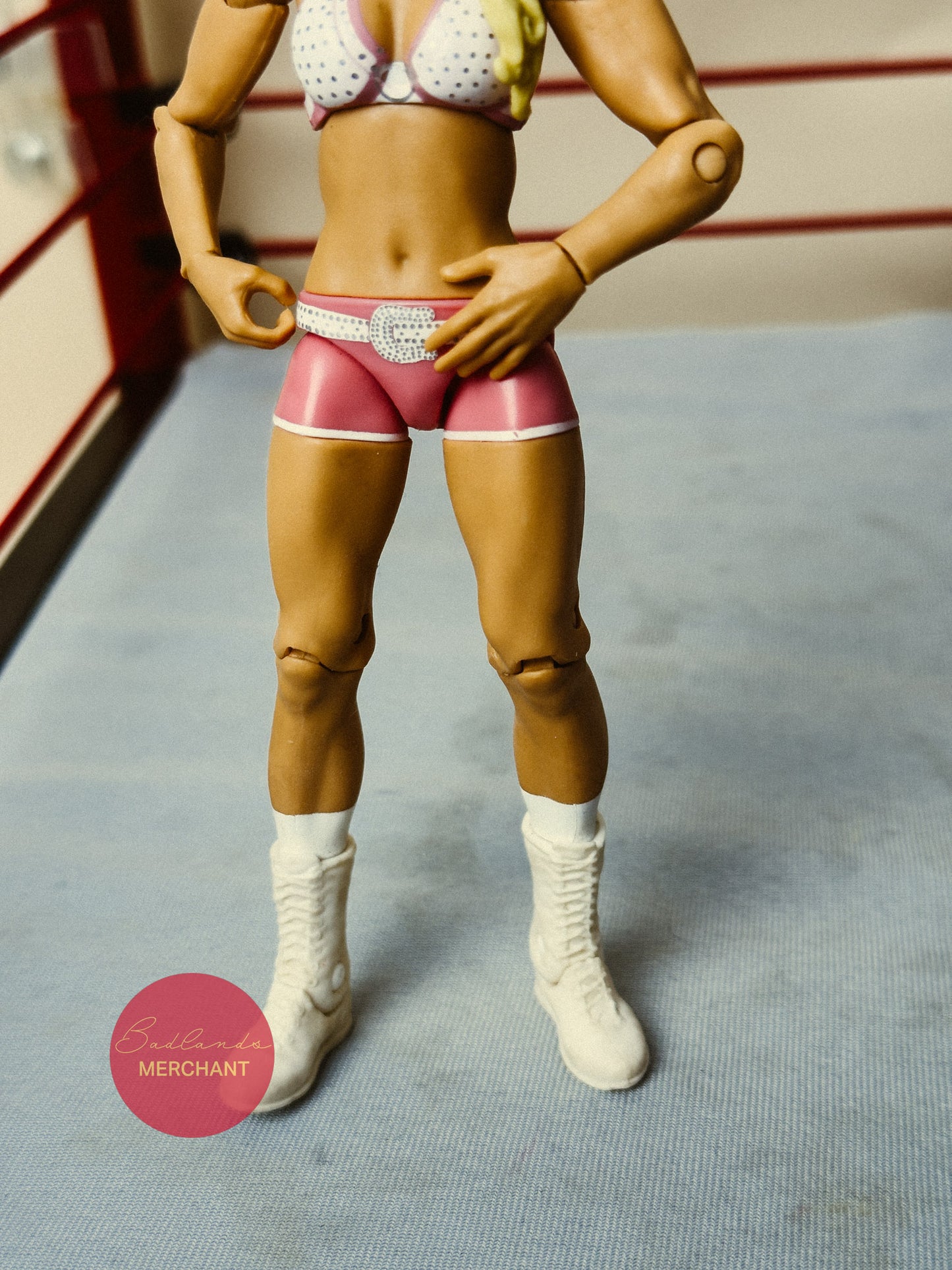 Mattel WWE Basic Series 6 Kelly Kelly Figure
