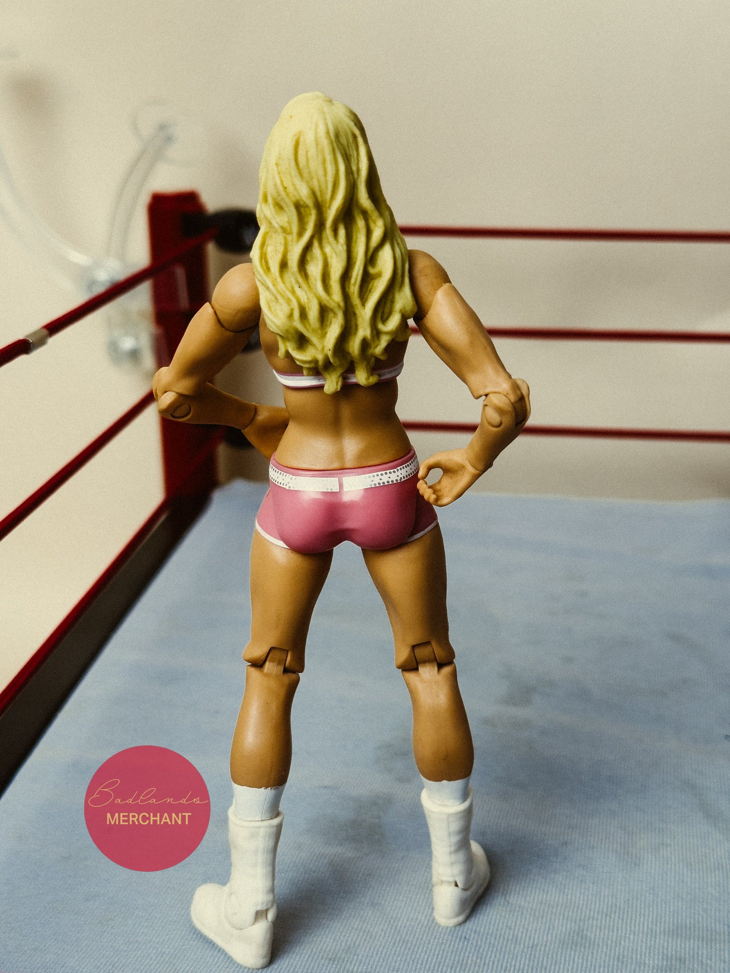 Mattel WWE Basic Series 6 Kelly Kelly Figure