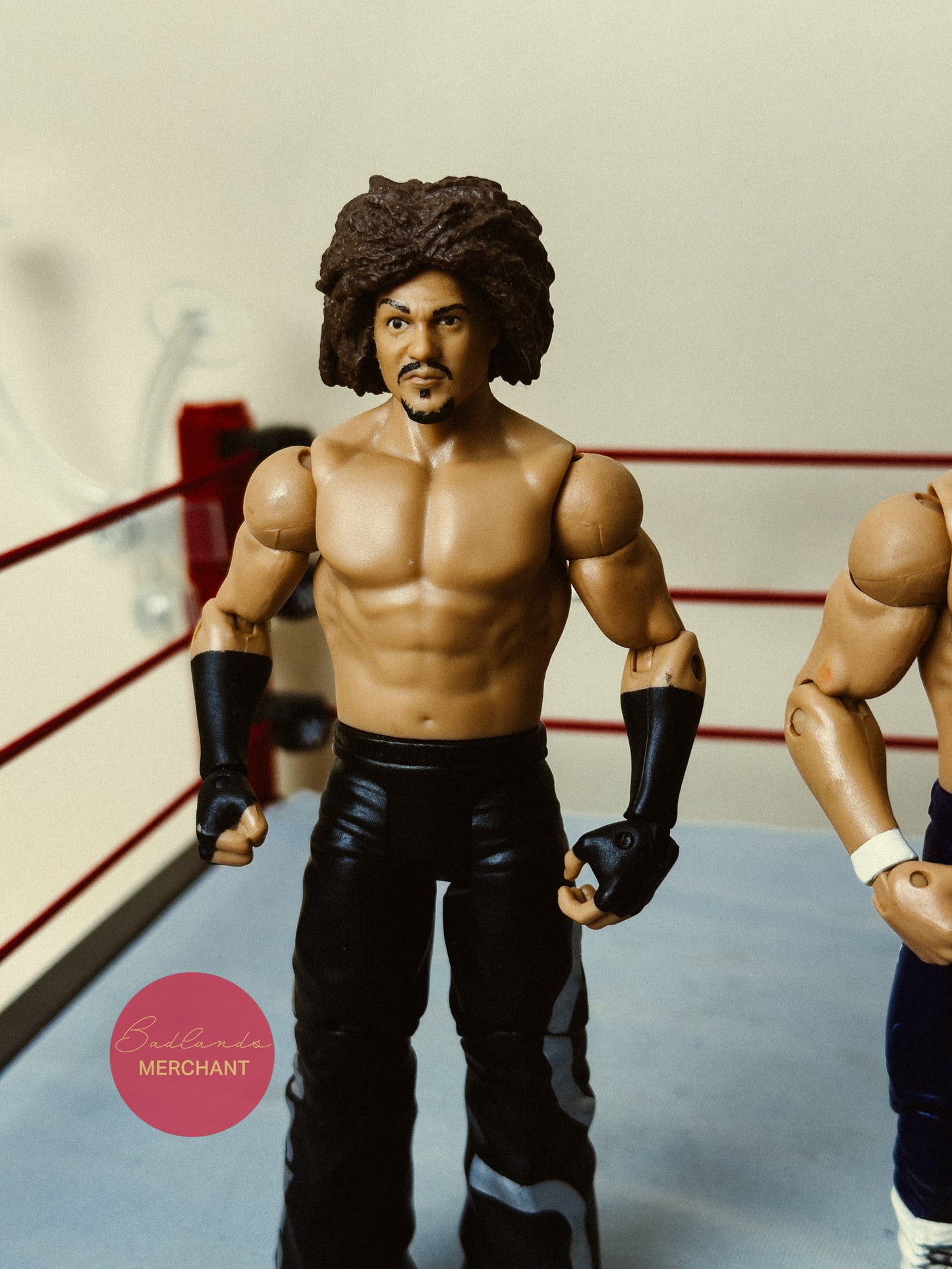 WWE Mattel Carlito Primo Family Fury Series 5 Figures