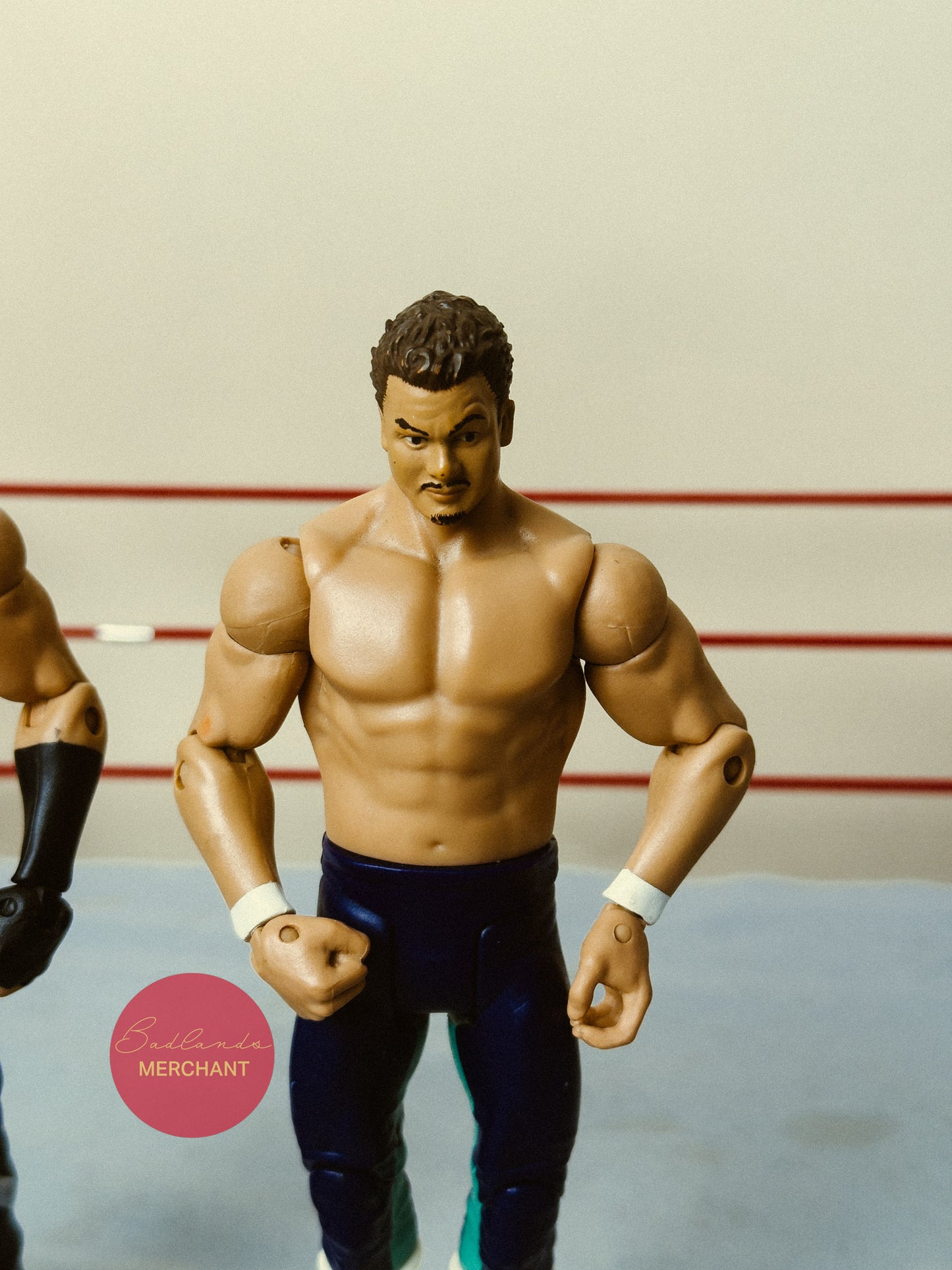 WWE Mattel Carlito Primo Family Fury Series 5 Figures