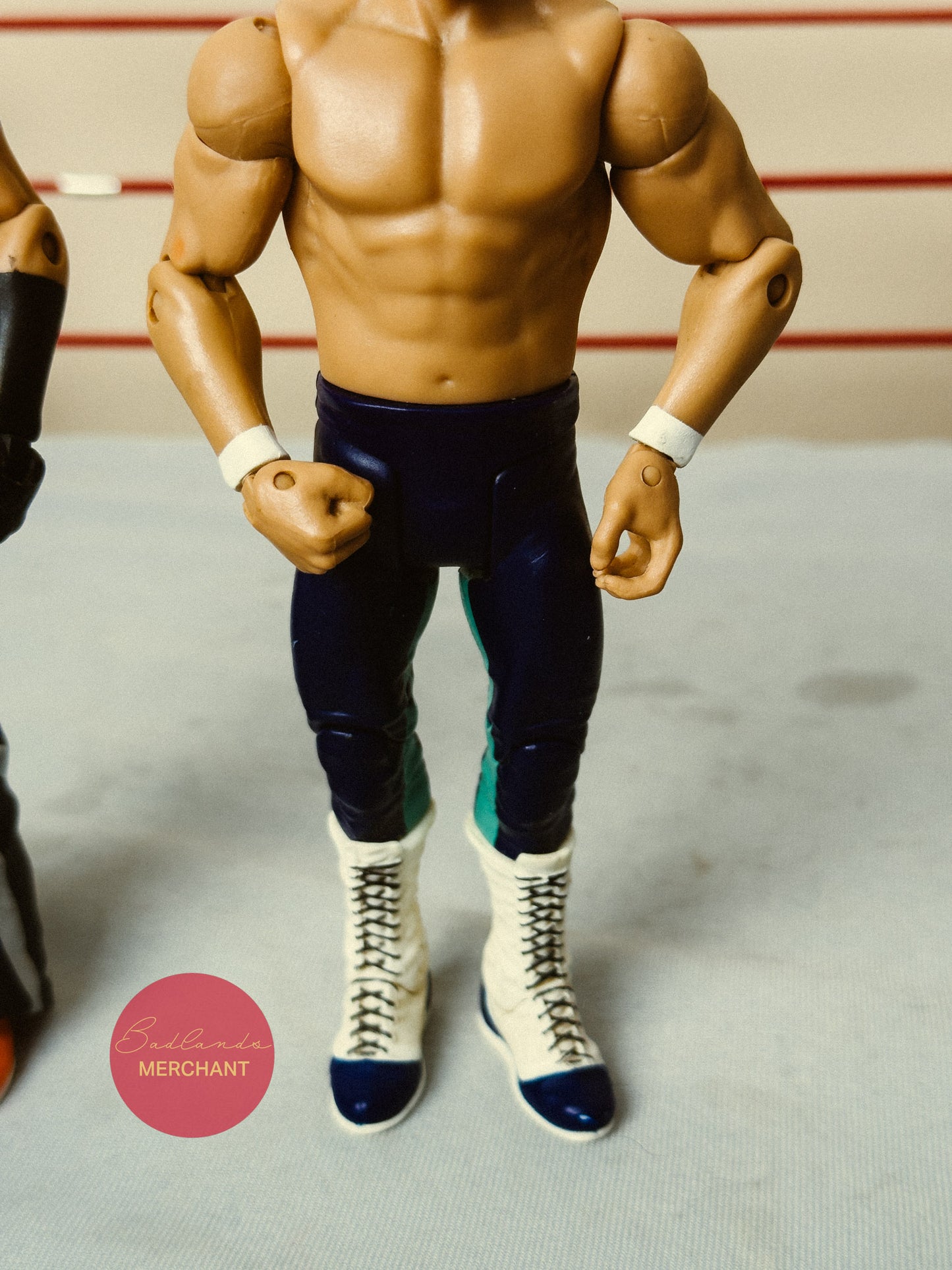 WWE Mattel Carlito Primo Family Fury Series 5 Figures