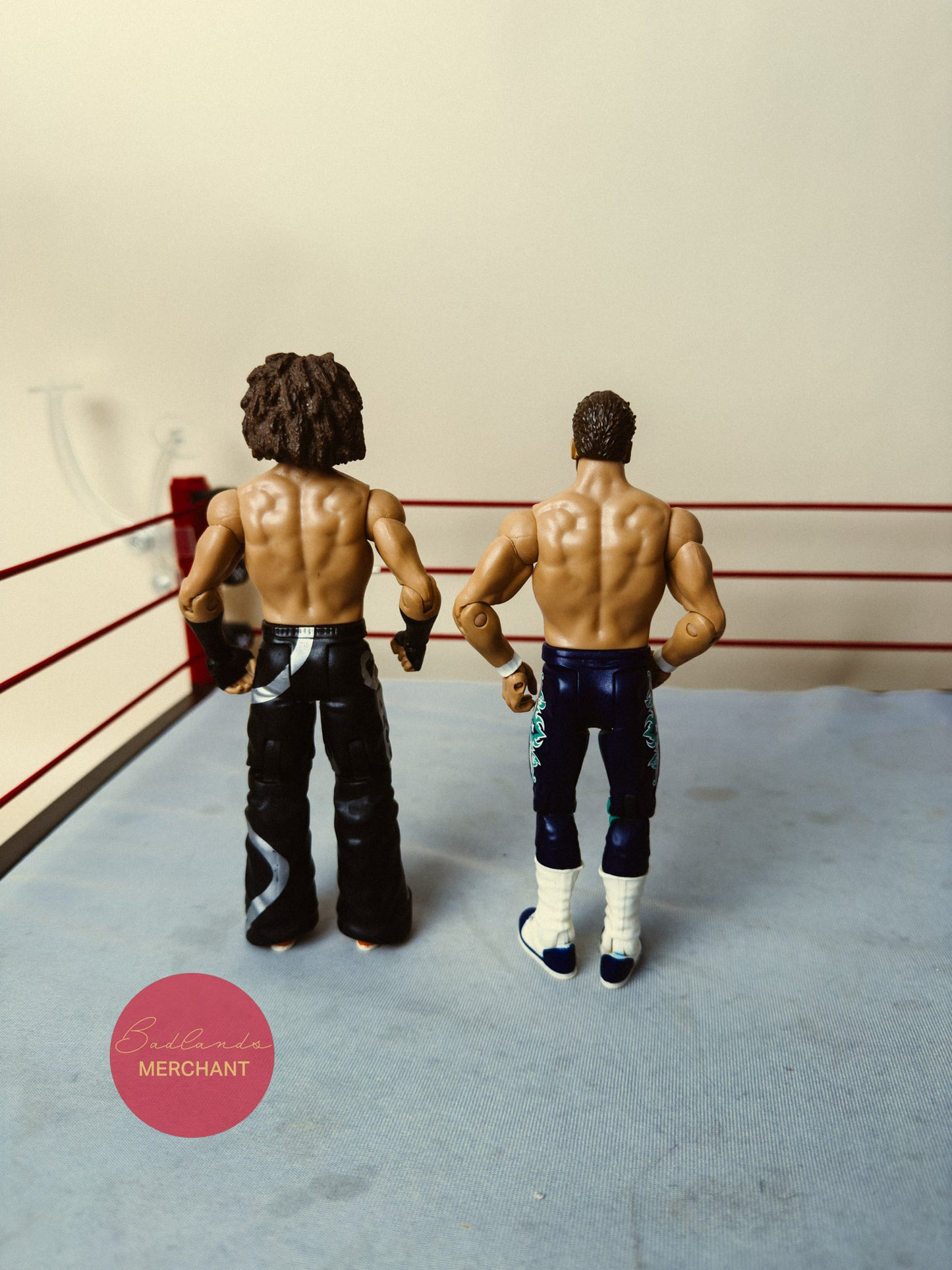 WWE Mattel Carlito Primo Family Fury Series 5 Figures