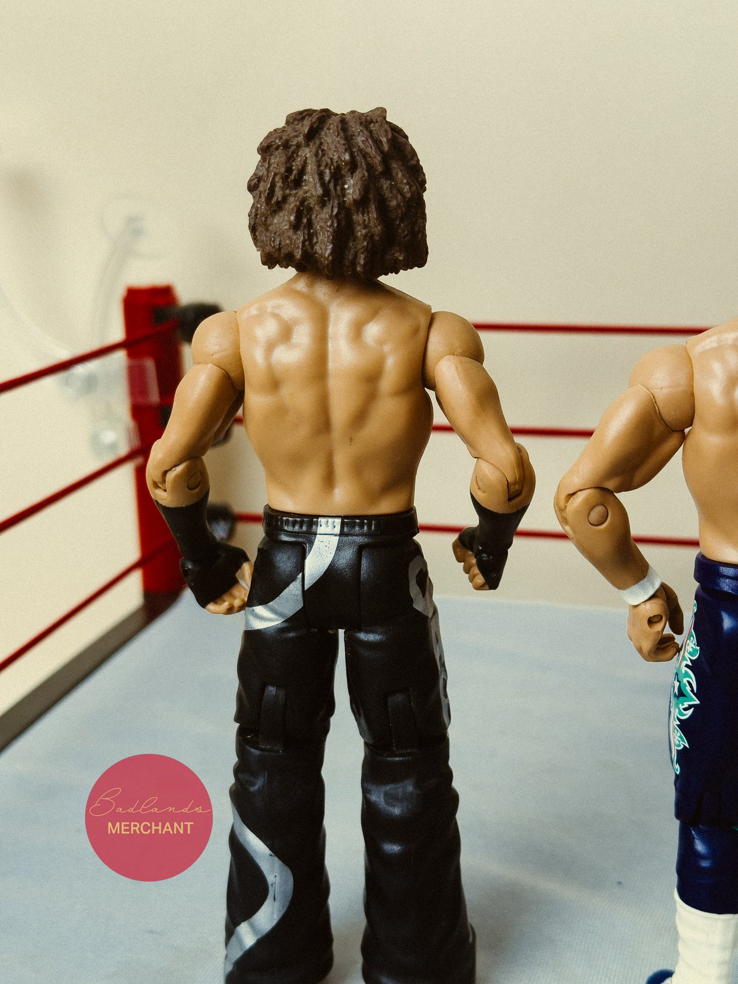 WWE Mattel Carlito Primo Family Fury Series 5 Figures