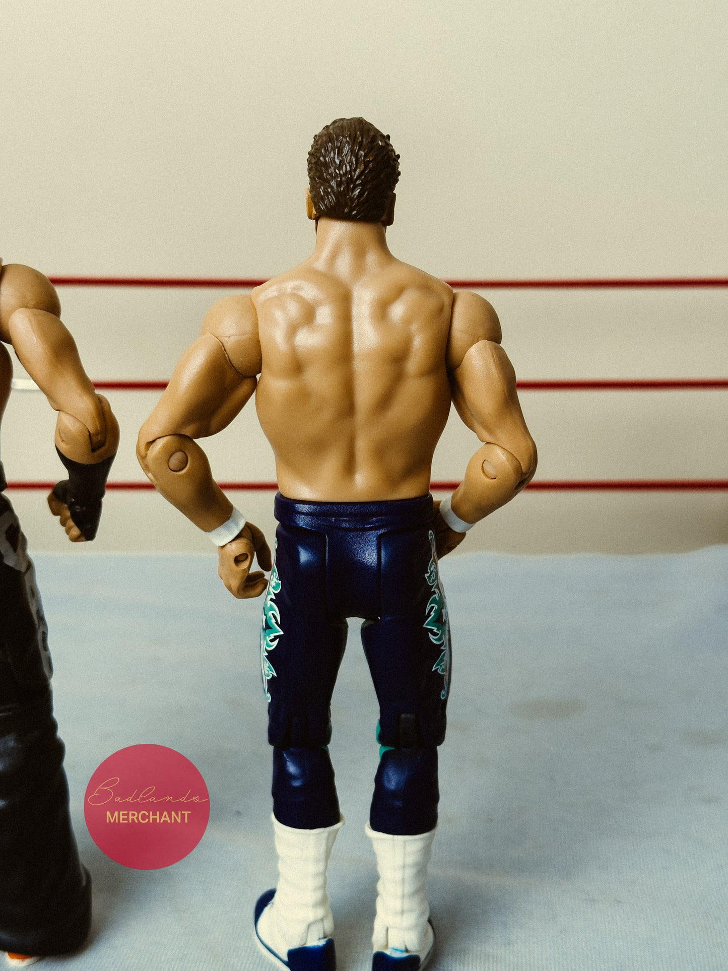 WWE Mattel Carlito Primo Family Fury Series 5 Figures