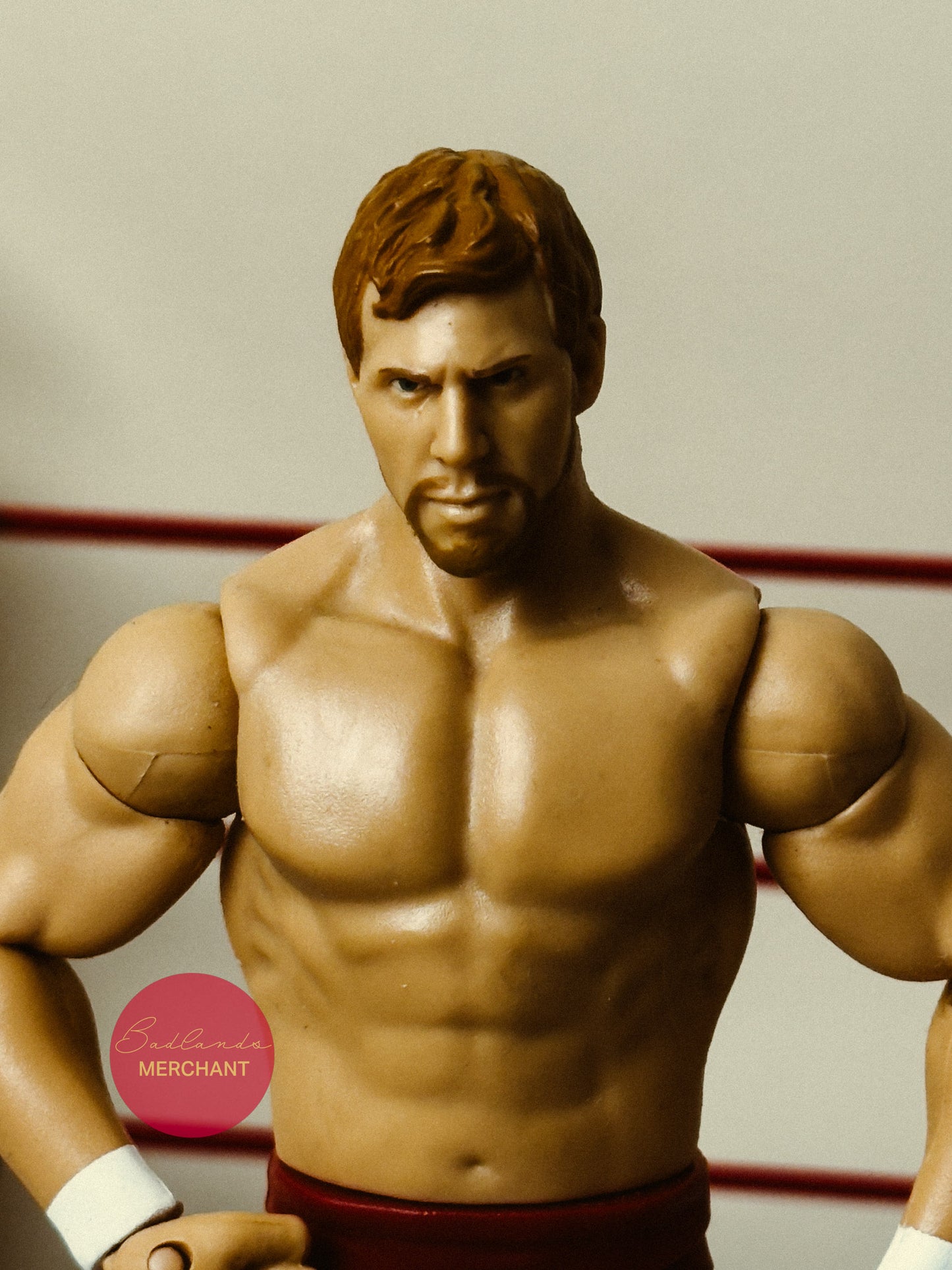 Mattel WWE Basic Series 11 Daniel Bryan Figure