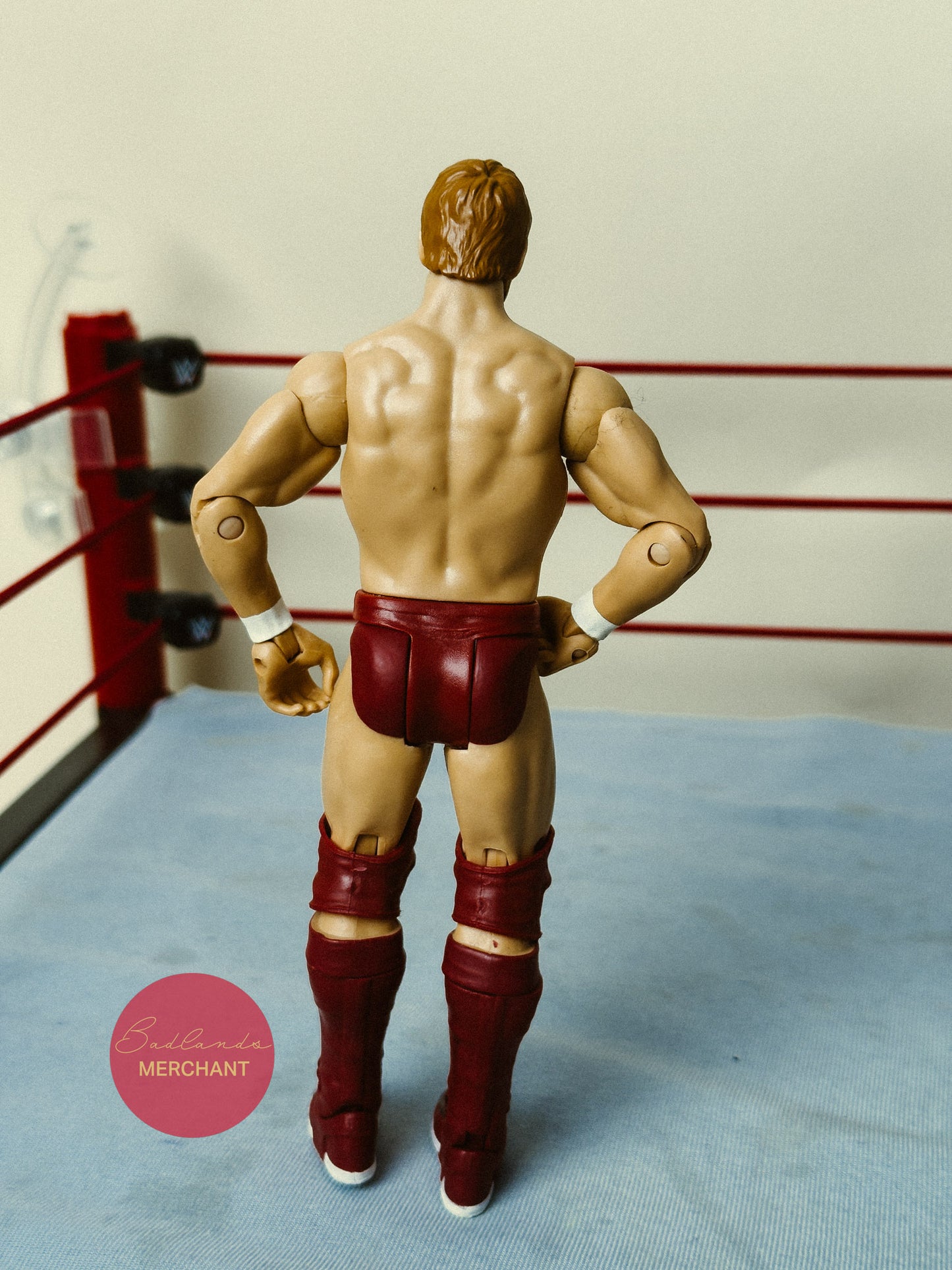 Mattel WWE Basic Series 11 Daniel Bryan Figure