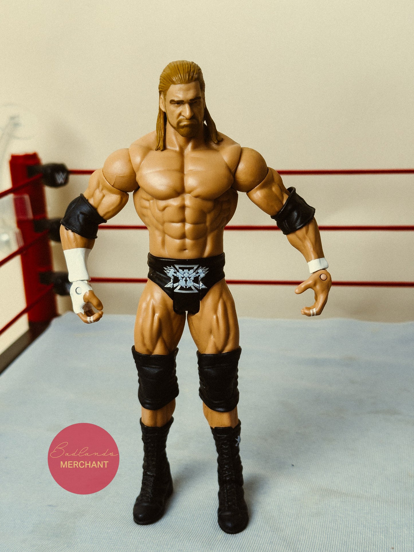 WWE Mattel Triple H Basic Figure