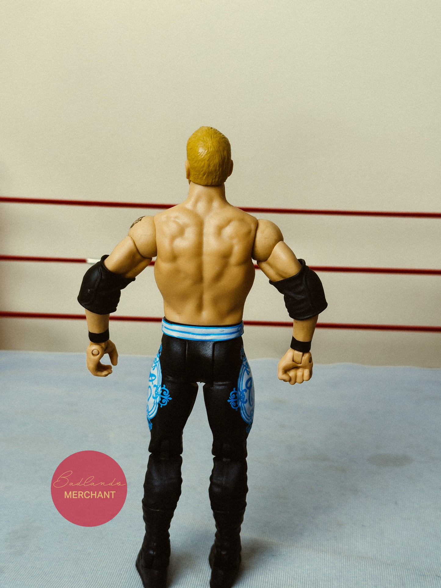 WWE Christian Wrestling Basic Series 39 Figure