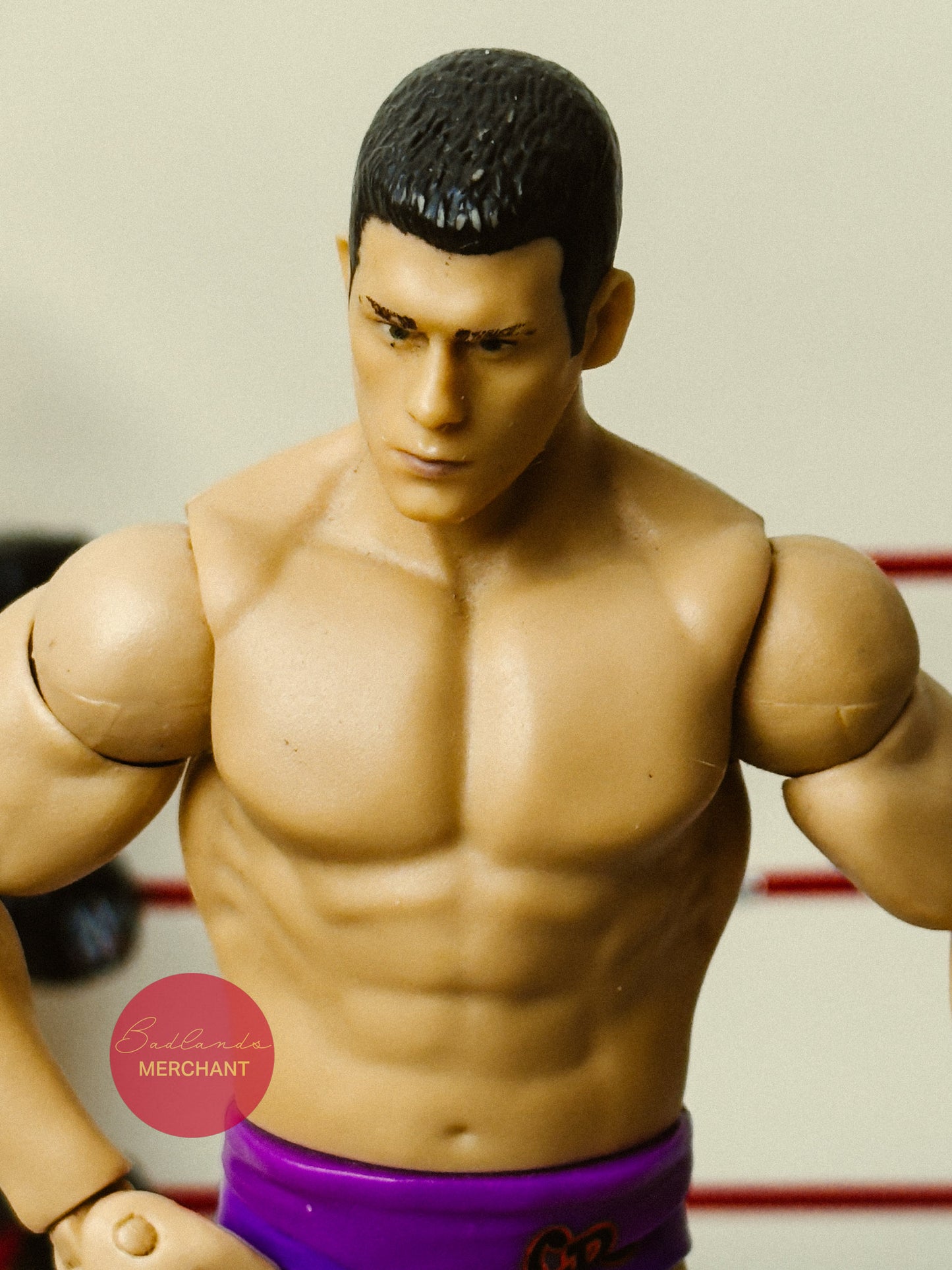WWE Basic Battle Pack 23 Dashing Cody Rhodes Figure