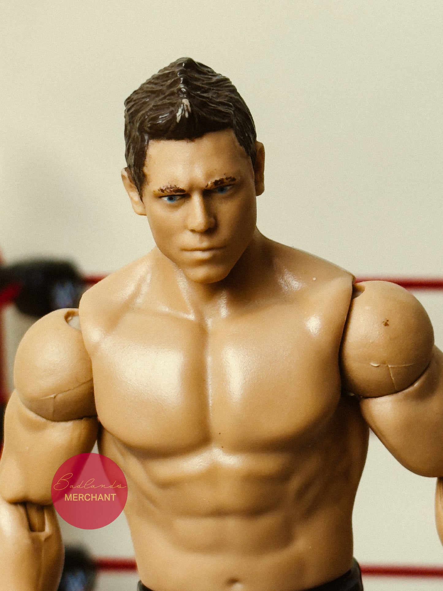 The Miz WWE Mattel Basic Series 21 Figure