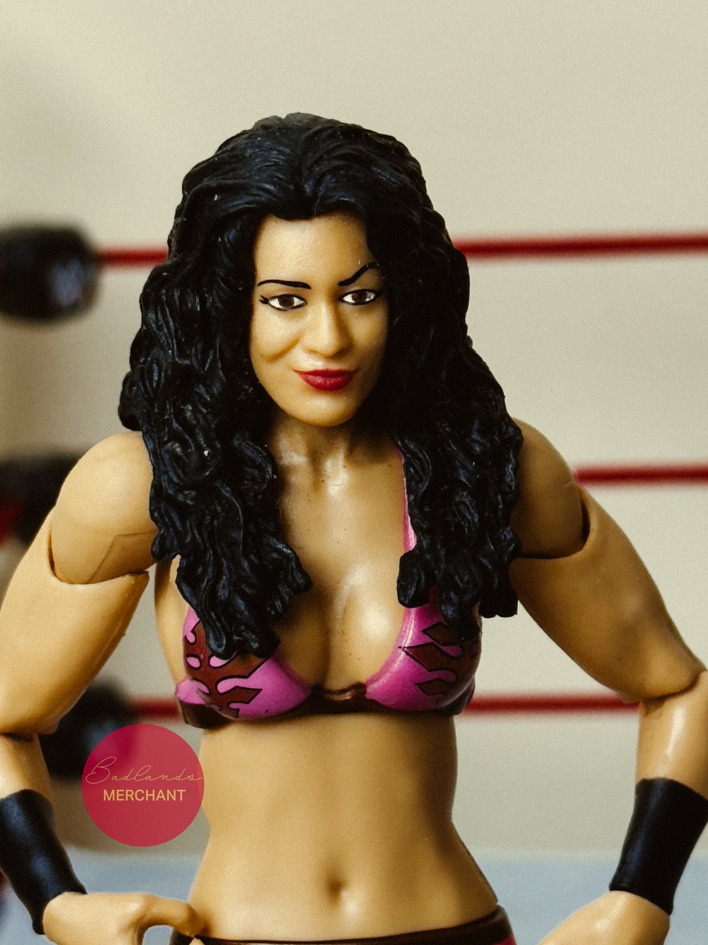 WWE Mattel Basic 5 Melina Figure