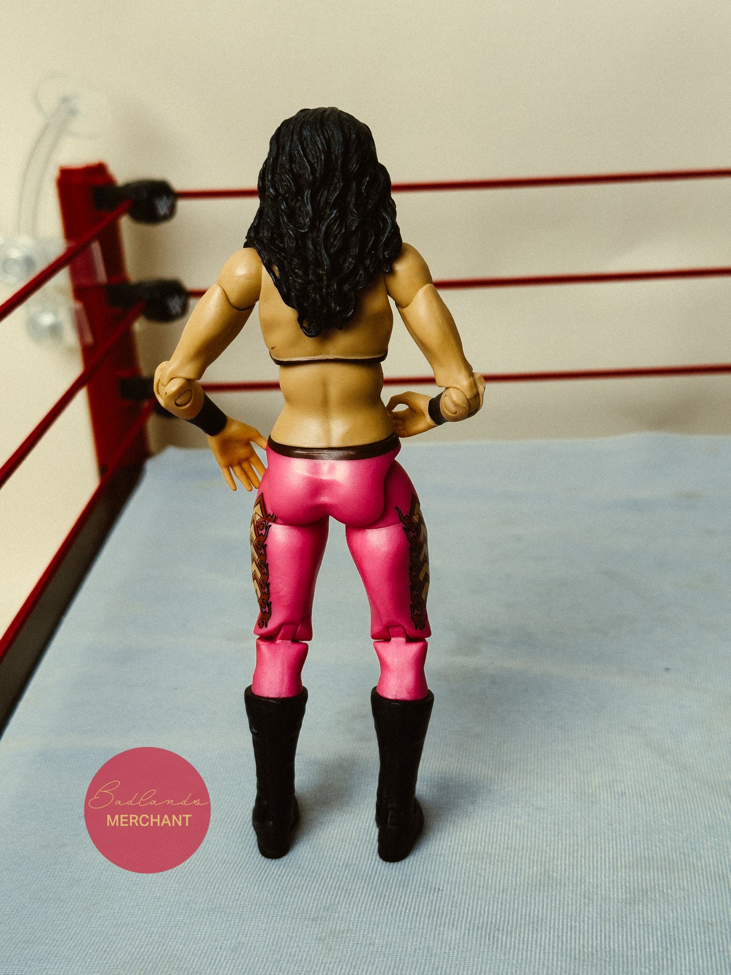WWE Mattel Basic 5 Melina Figure