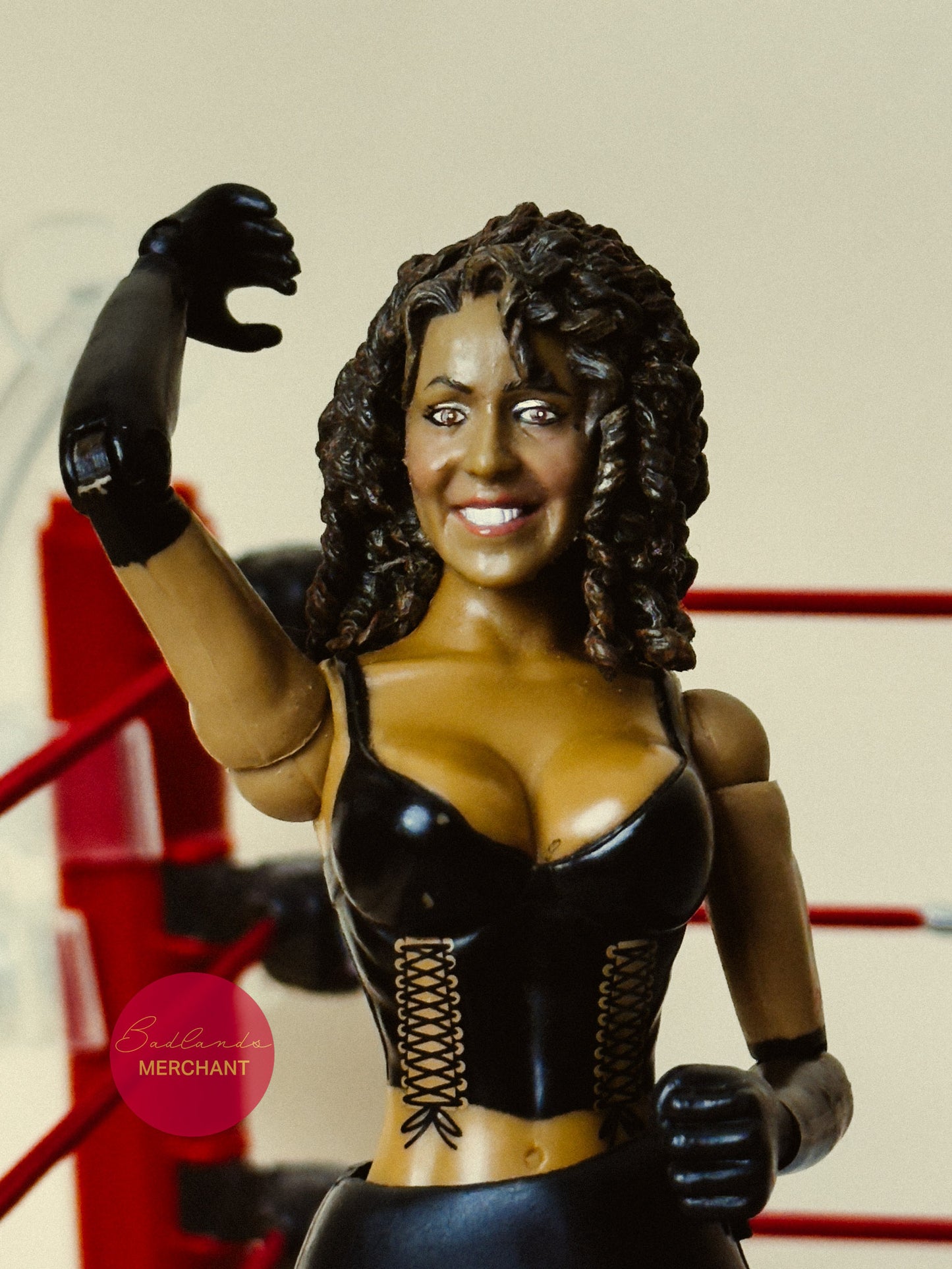 Jakks Pacific WWE ECW Layla Figure