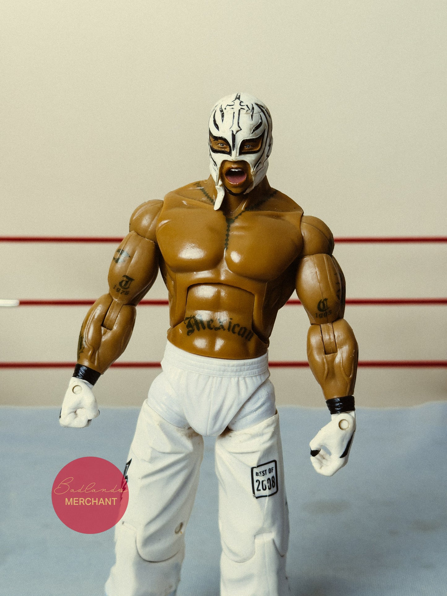WWE Jakks Rey Mysterio Deluxe Aggression Best of 2008 Figure