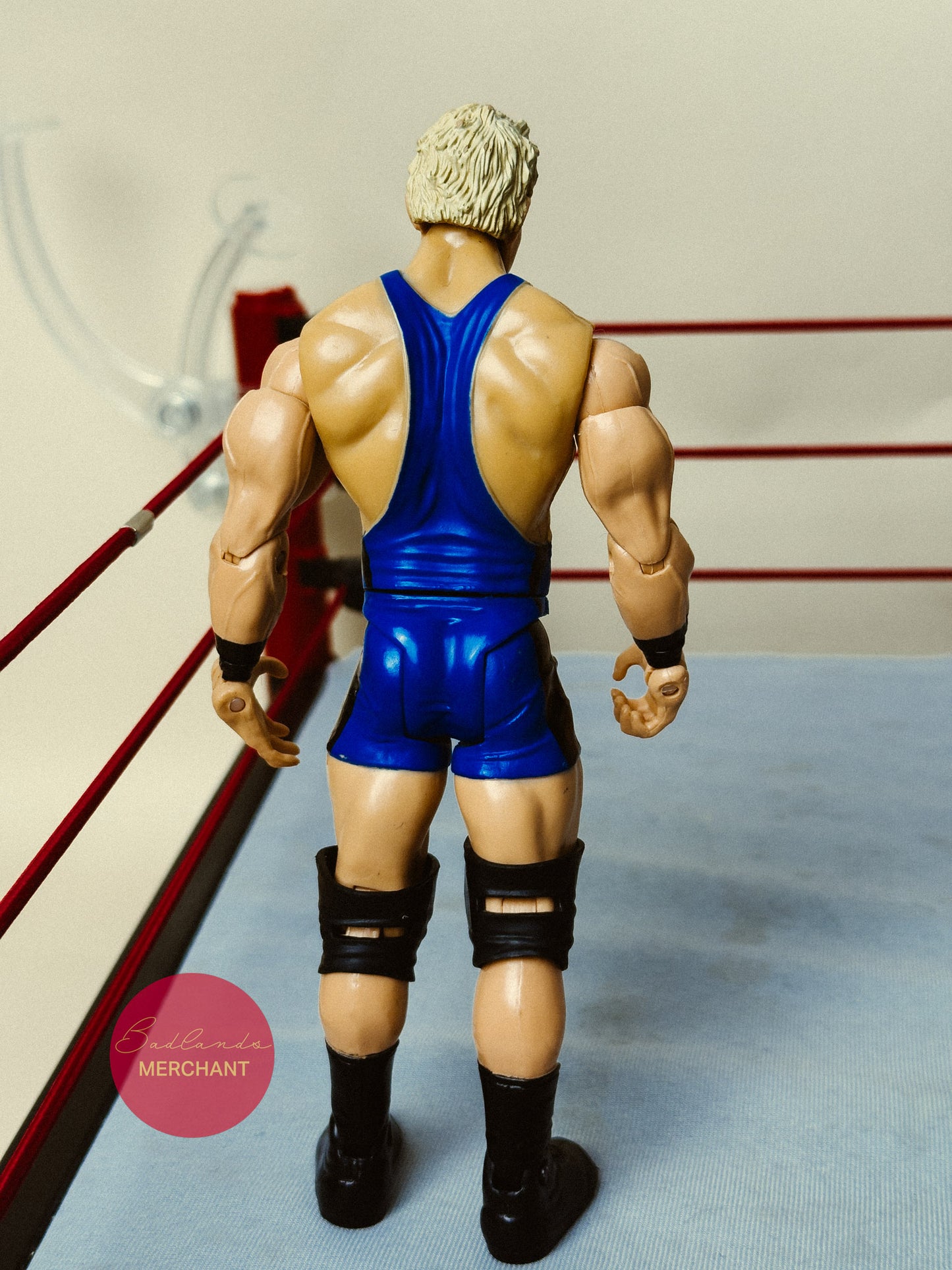 WWE Jack Swagger Jakks Pacific ECW Series 5 Figure