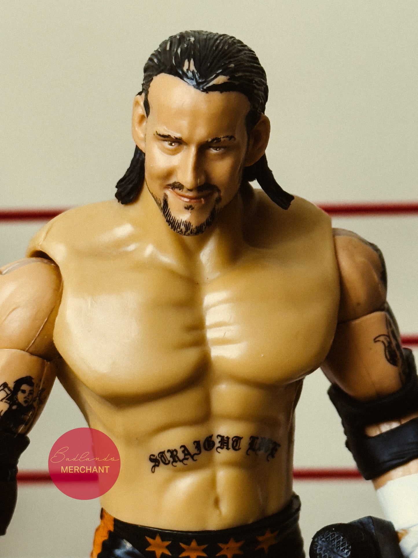 WWE WrestleMania 25 Series 2 CM Punk Figure