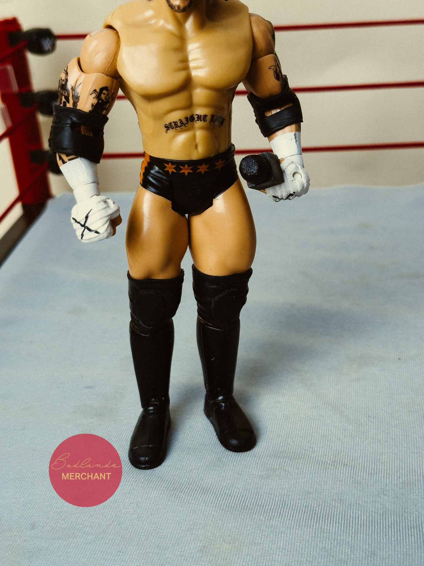 WWE WrestleMania 25 Series 2 CM Punk Figure