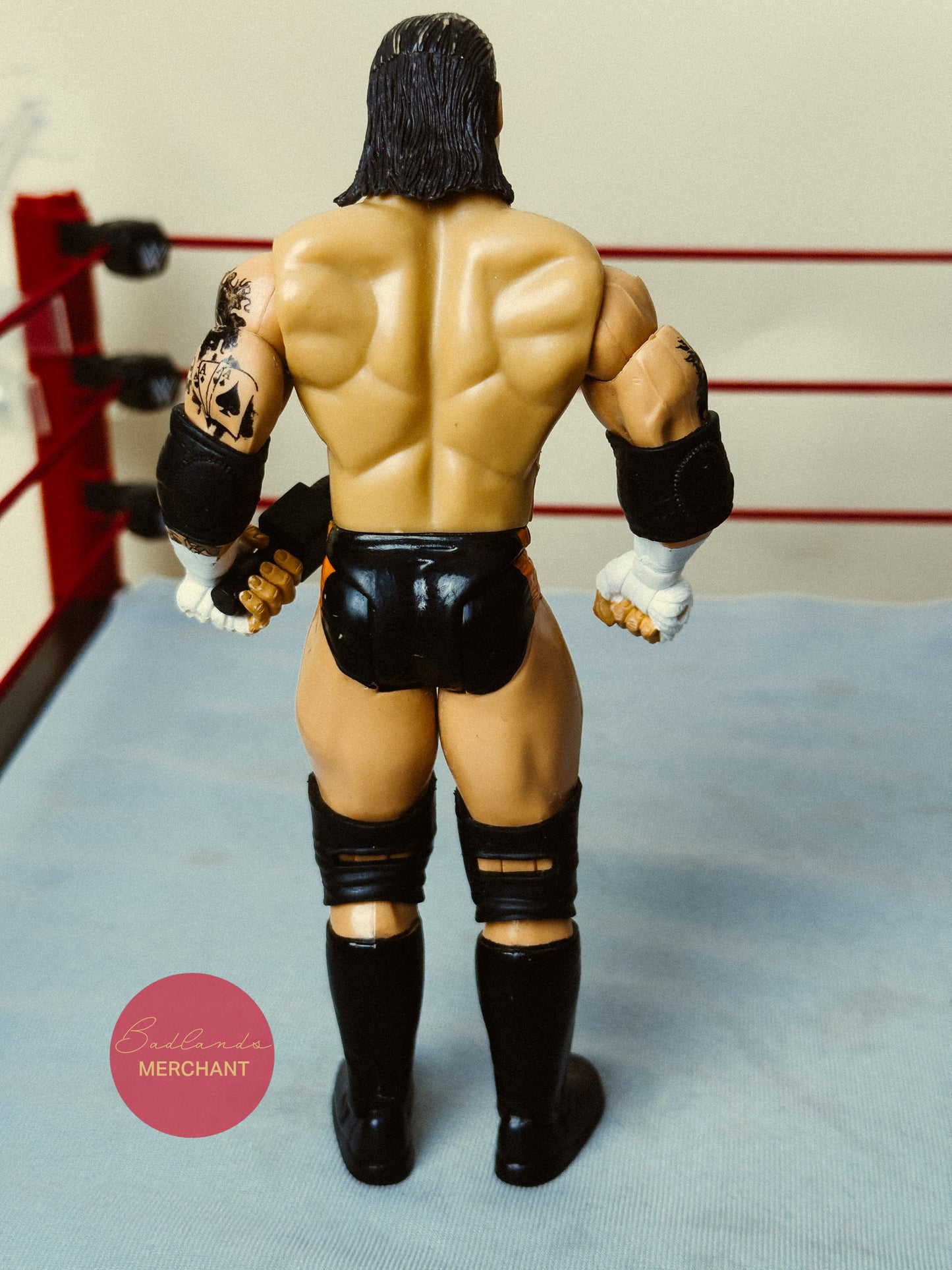 WWE WrestleMania 25 Series 2 CM Punk Figure
