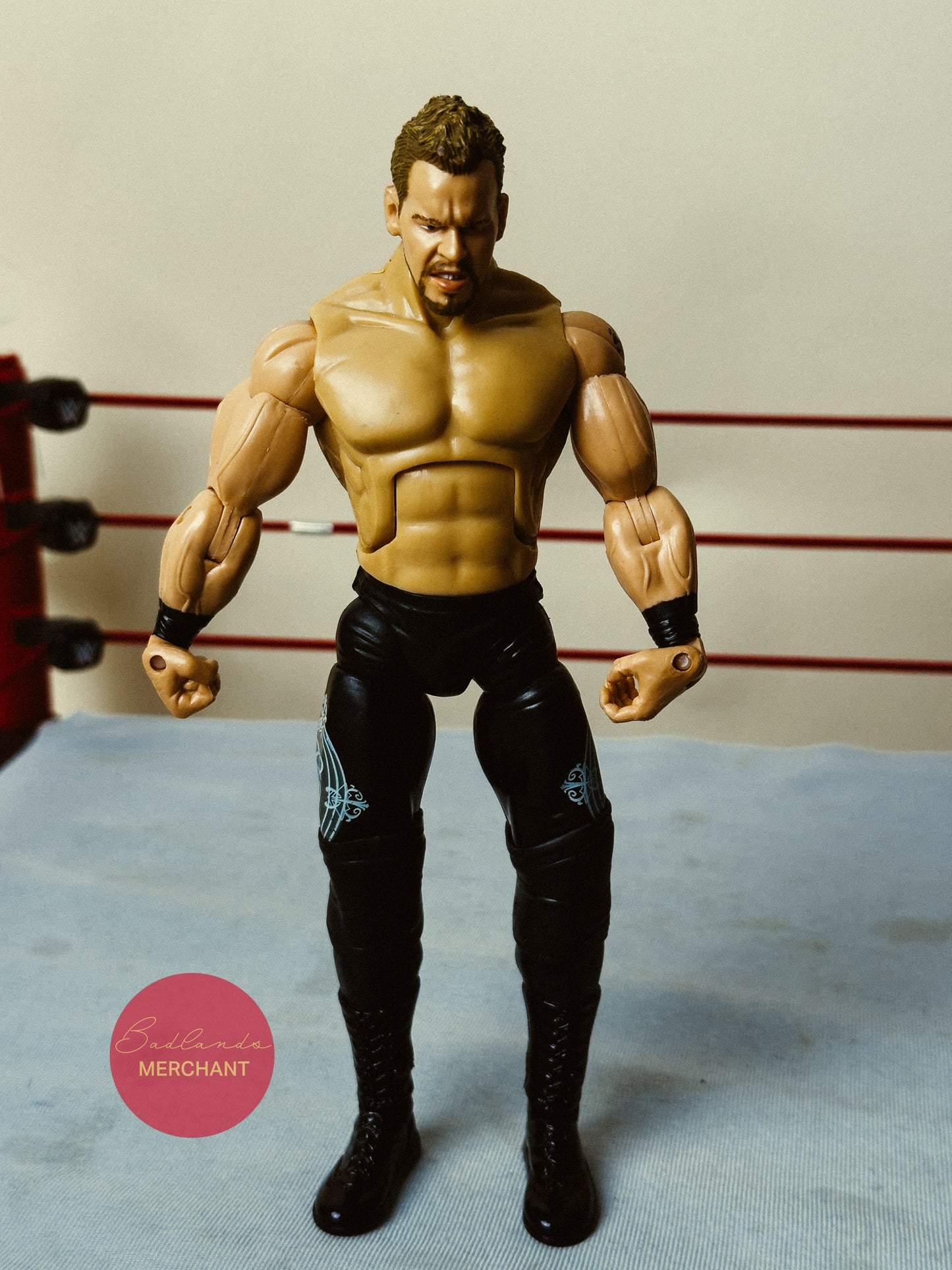 WWE Jakks Christian Cage Deluxe Aggression Figure 22