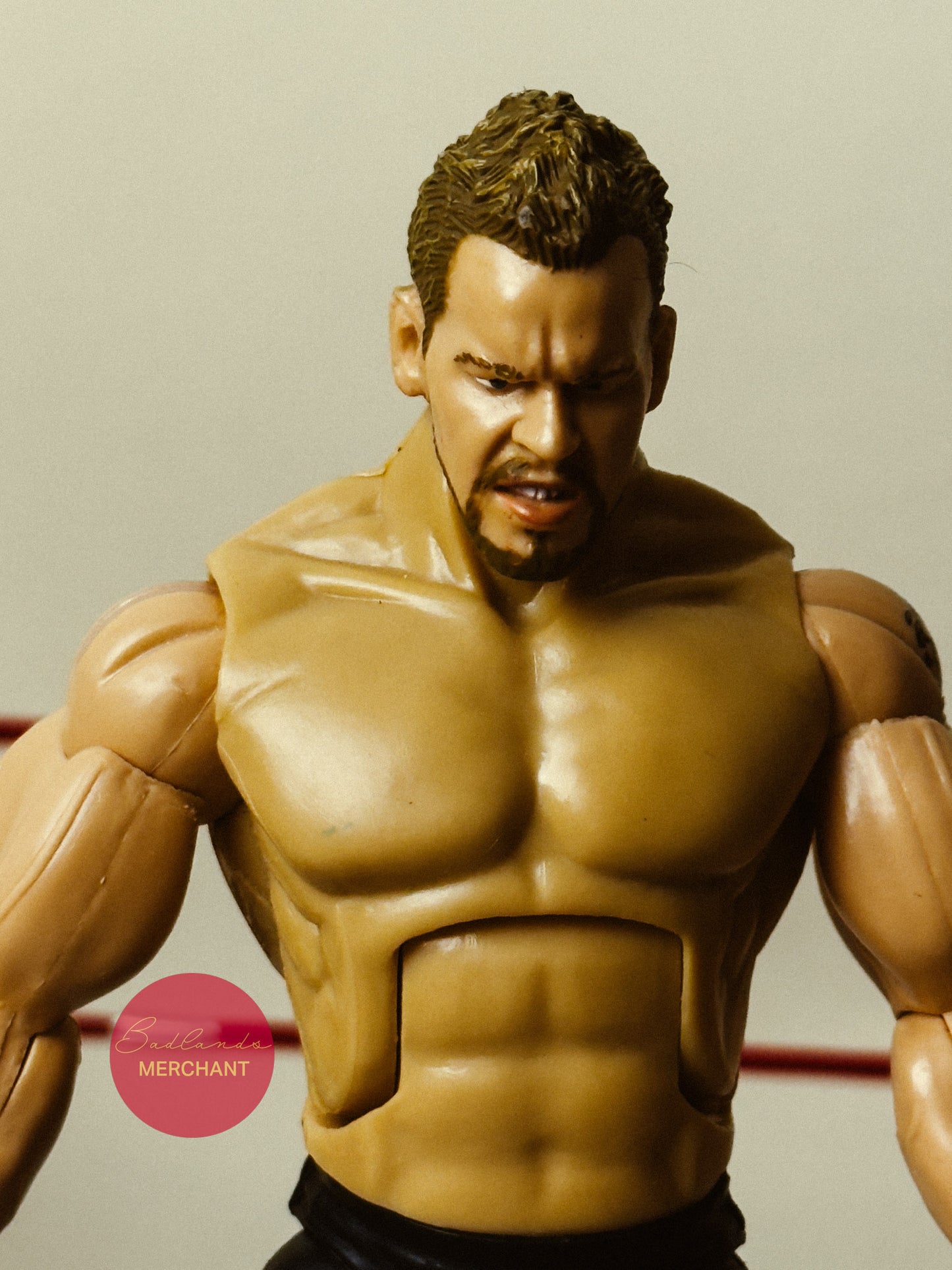 WWE Jakks Christian Cage Deluxe Aggression Figure 22
