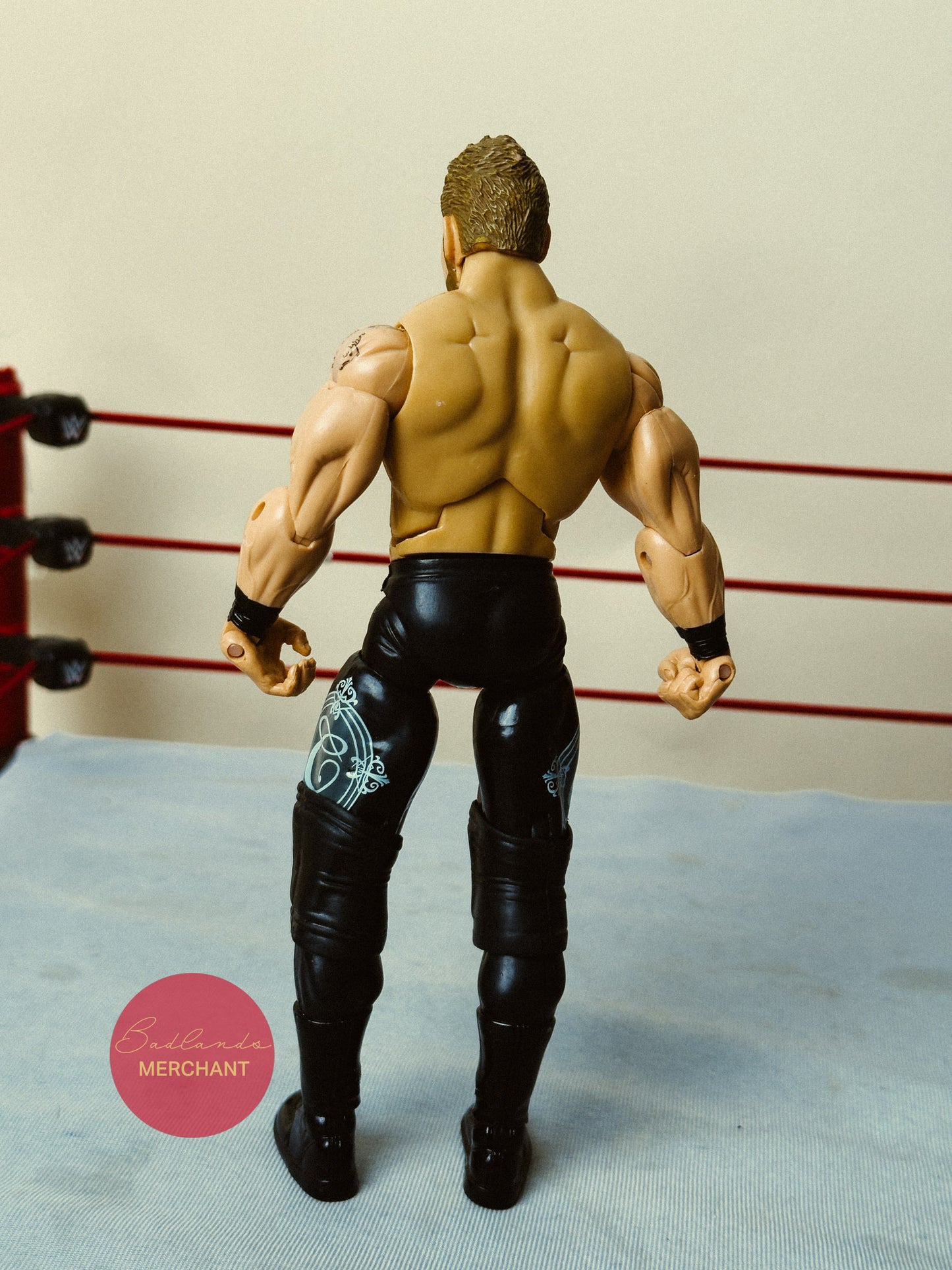 WWE Jakks Christian Cage Deluxe Aggression Figure 22