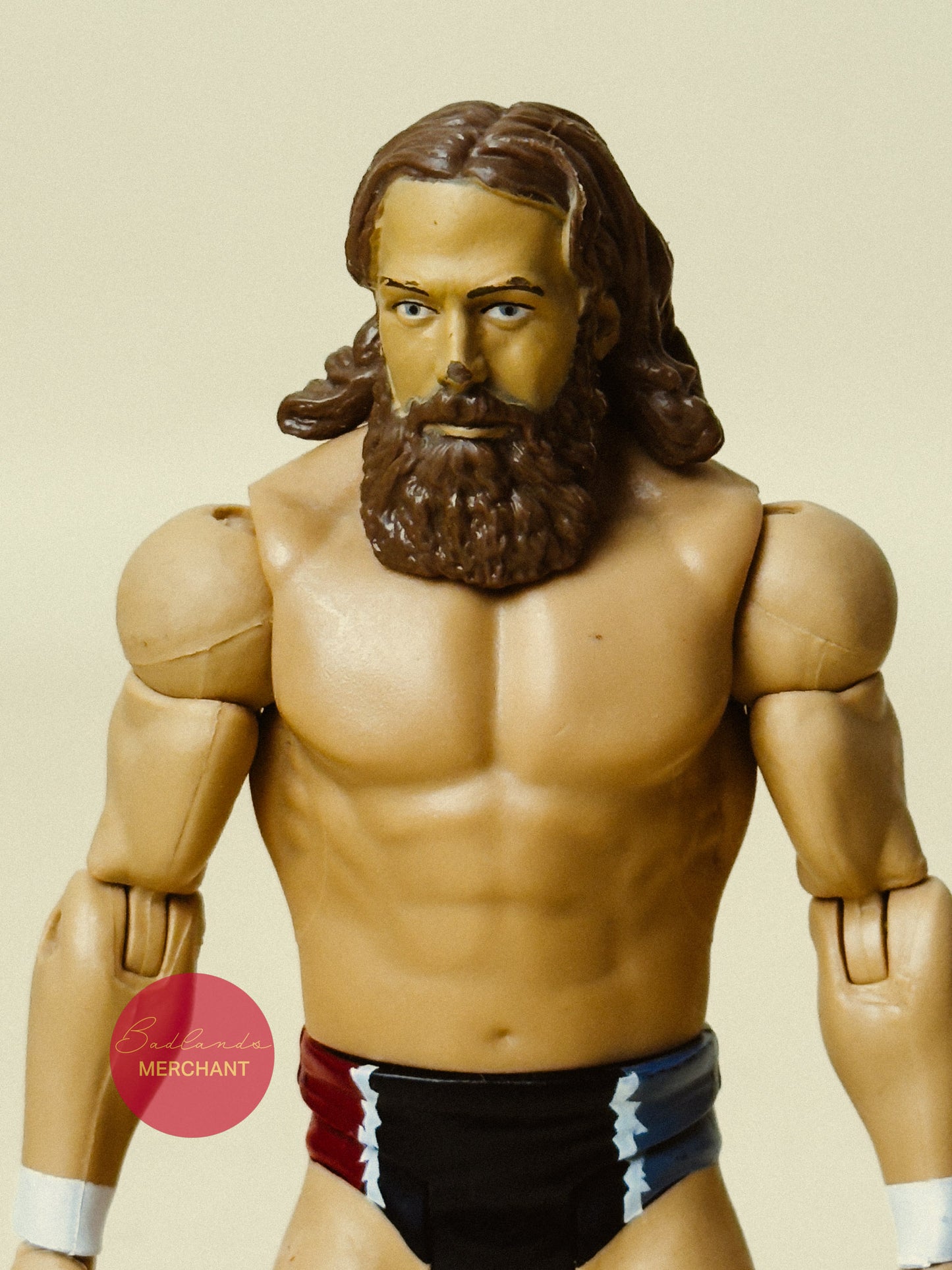 Daniel Bryan - WWE Signature Series 2014