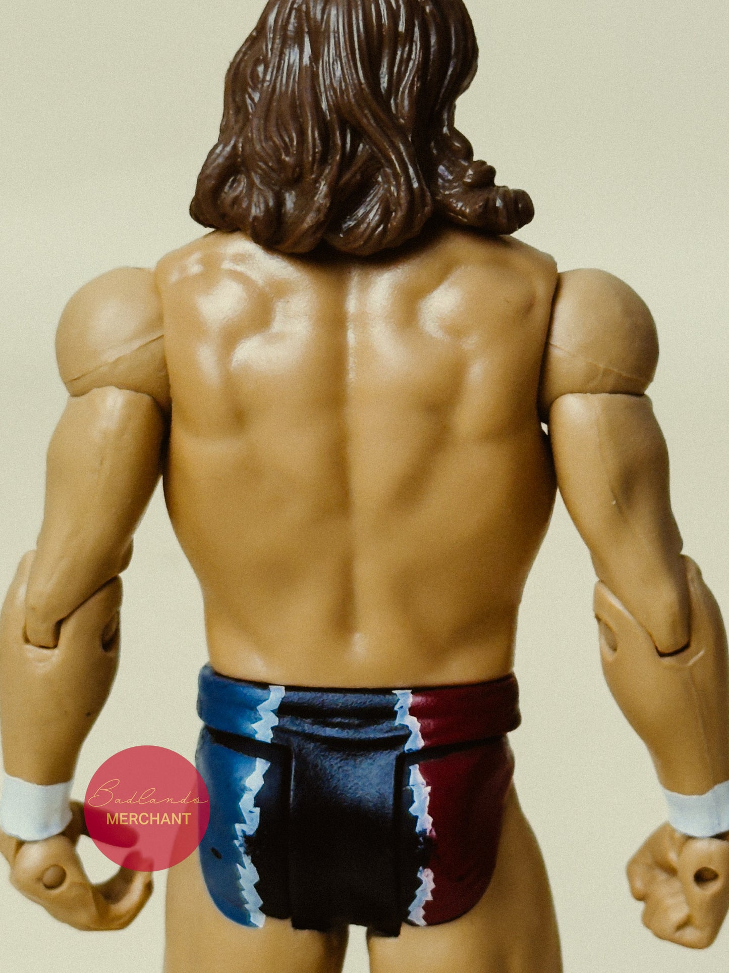 Daniel Bryan - WWE Signature Series 2014