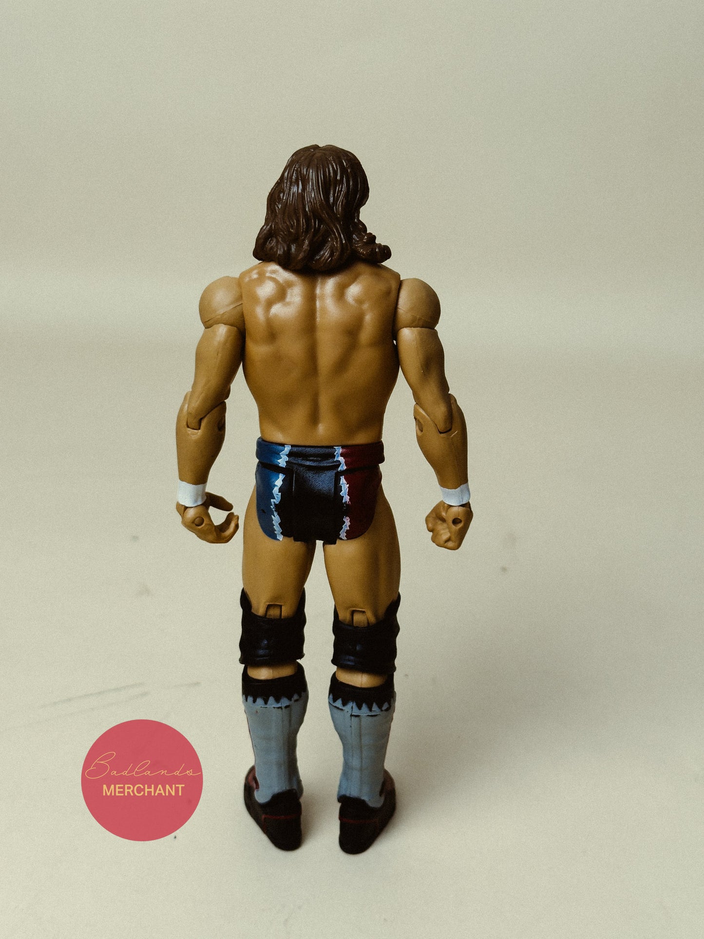 Daniel Bryan - WWE Signature Series 2014
