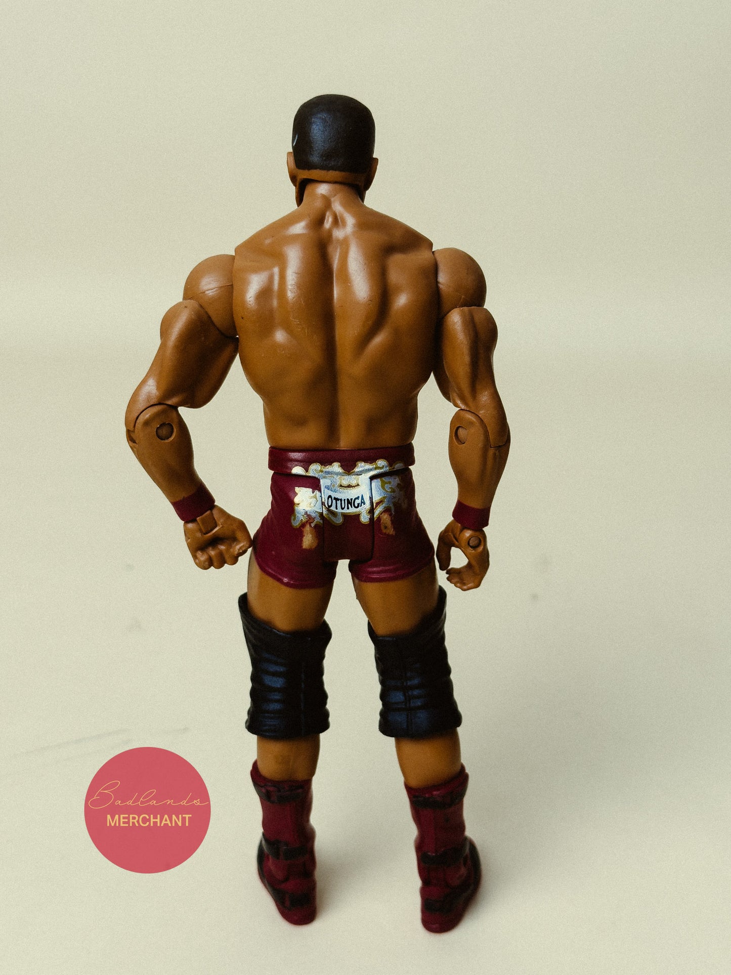 David Otunga - WWE Series 25