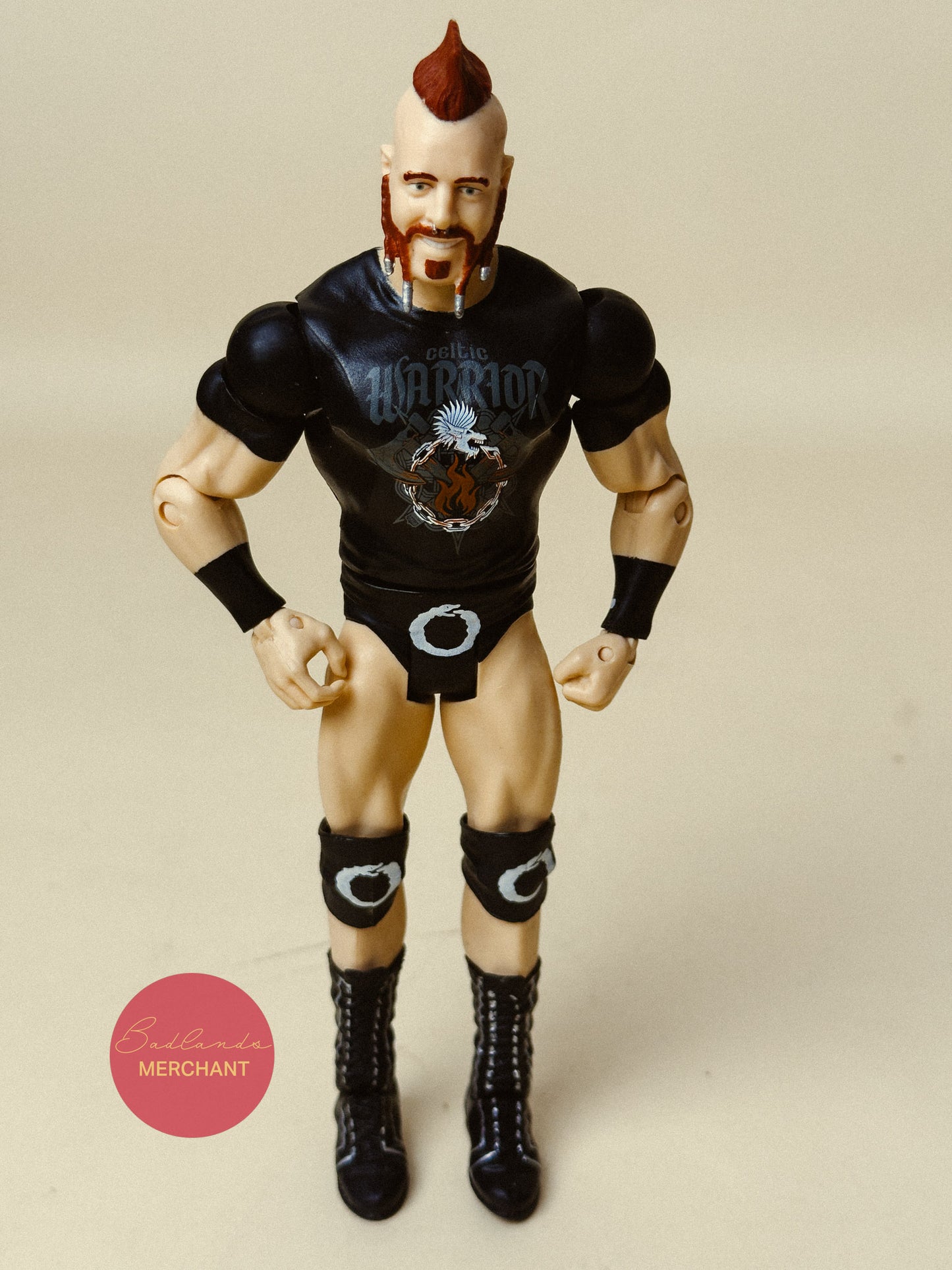 WWE Sheamus Mattel Basic Battle Pack Series 49 Figure