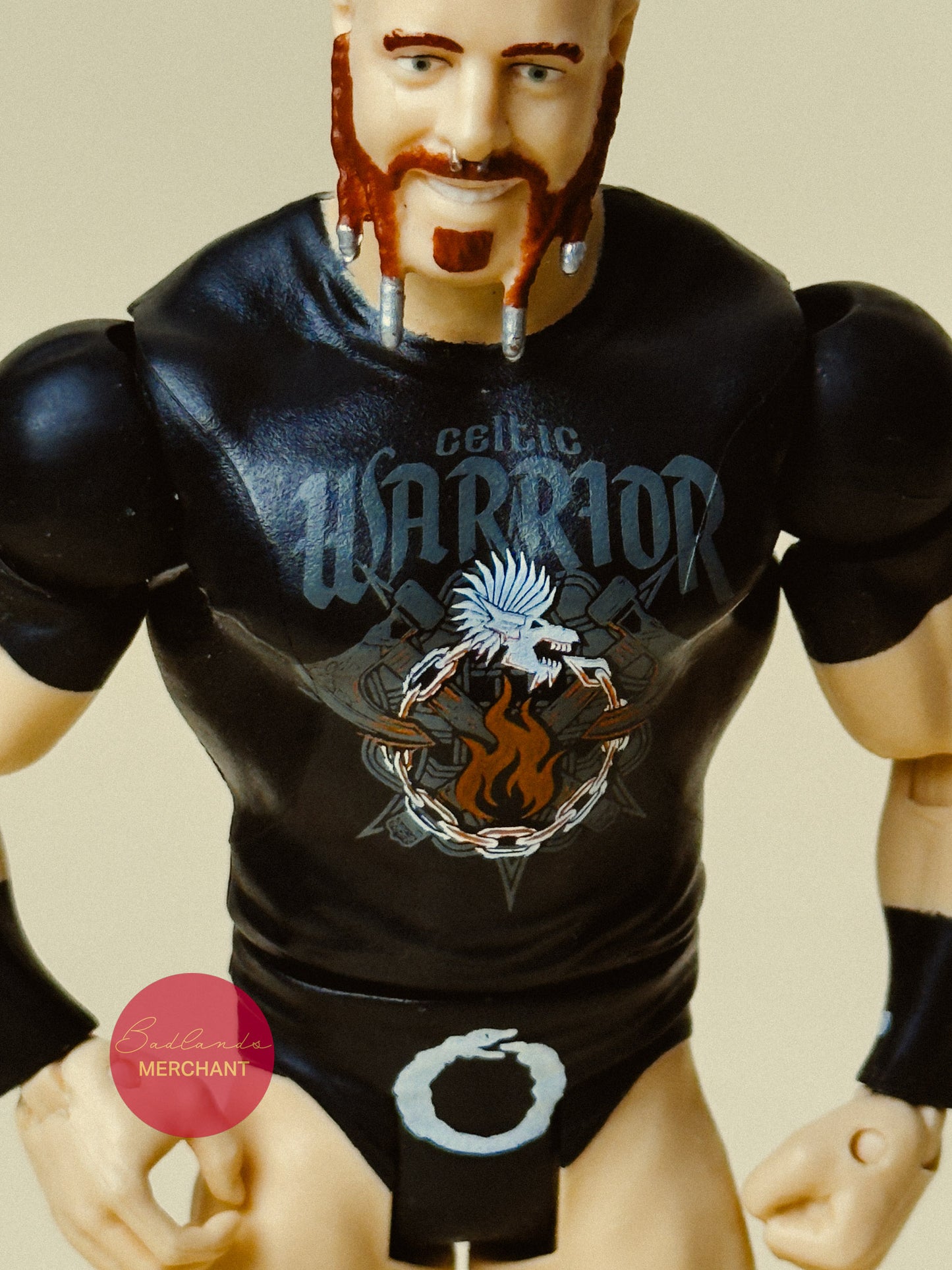 WWE Sheamus Mattel Basic Battle Pack Series 49 Figure