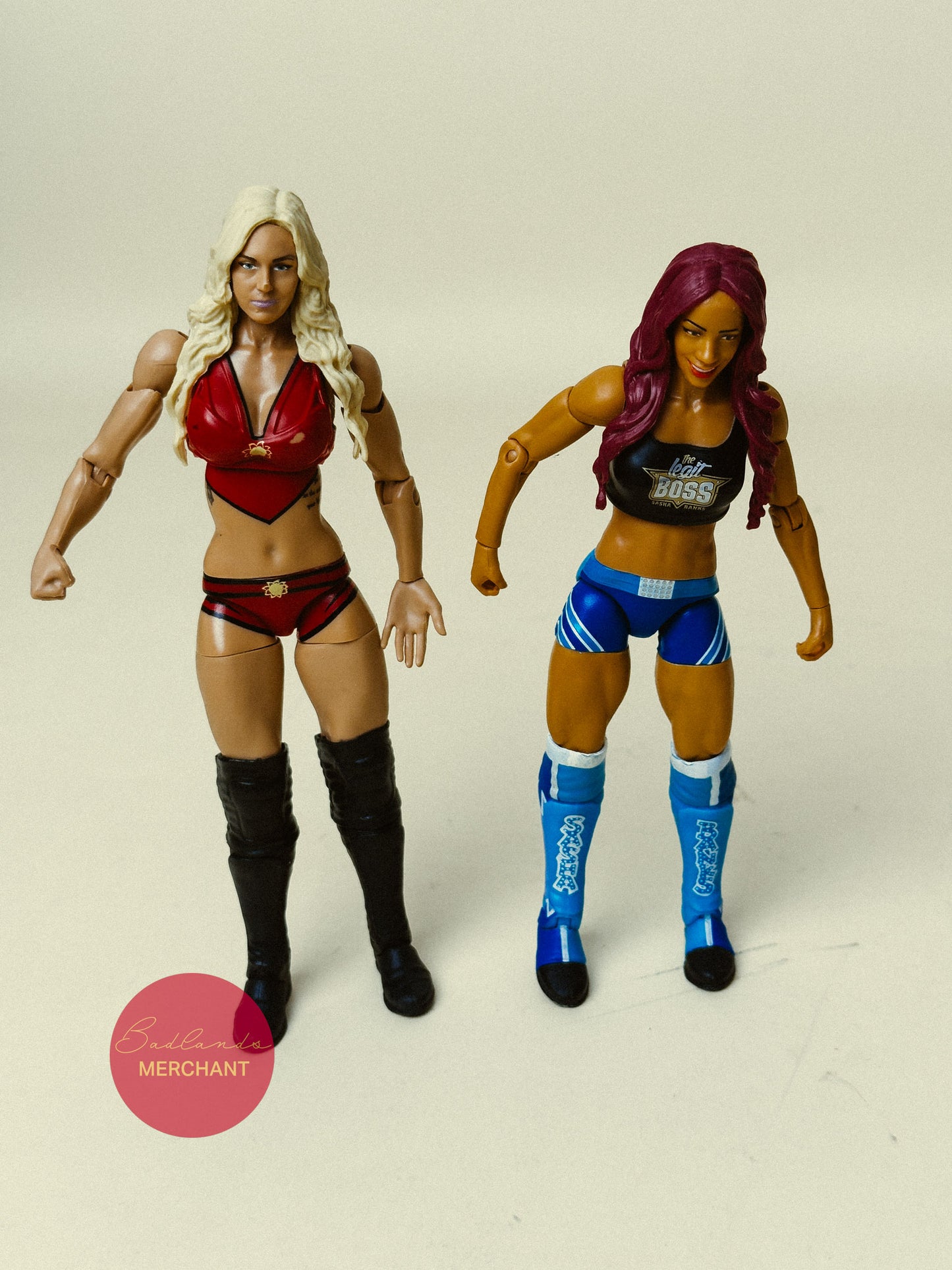 WWE Sasha Banks vs Charlotte Flair Battle Pack 47 Figures