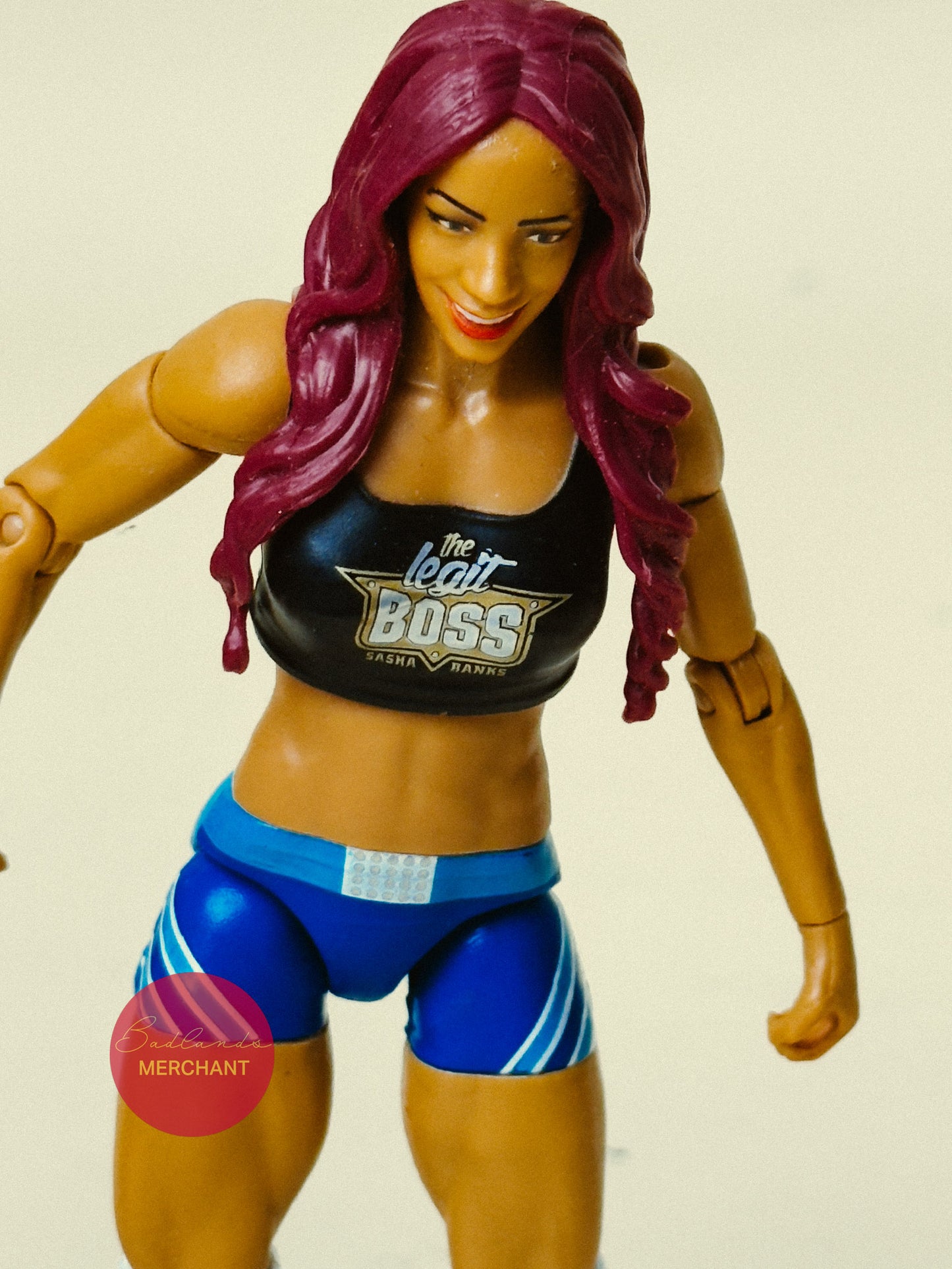 WWE Sasha Banks vs Charlotte Flair Battle Pack 47 Figures
