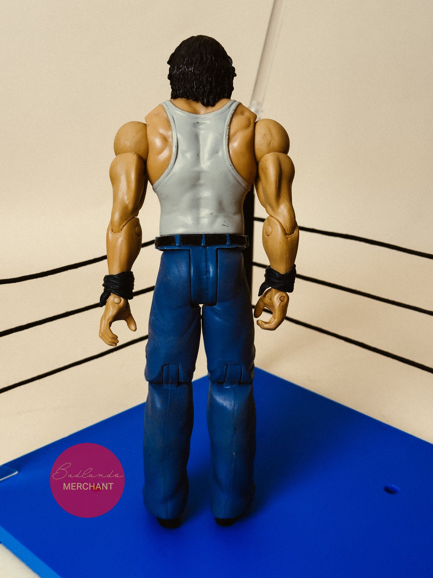 The Wyatt Family 4 Pack WWE Figure Pack Basic