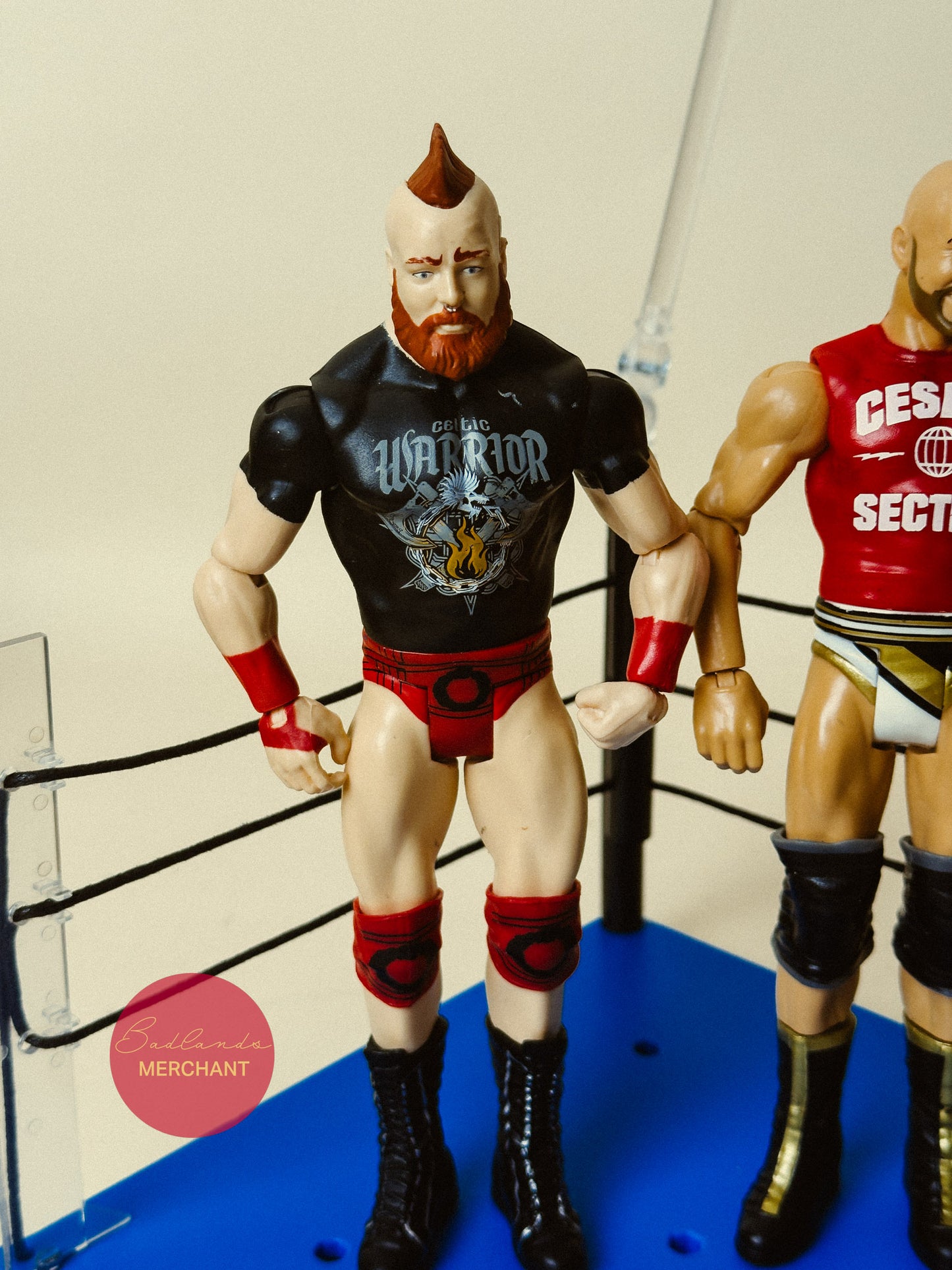 WWE Sheamus & Cesaro Battle Pack 49 Mattel Figures