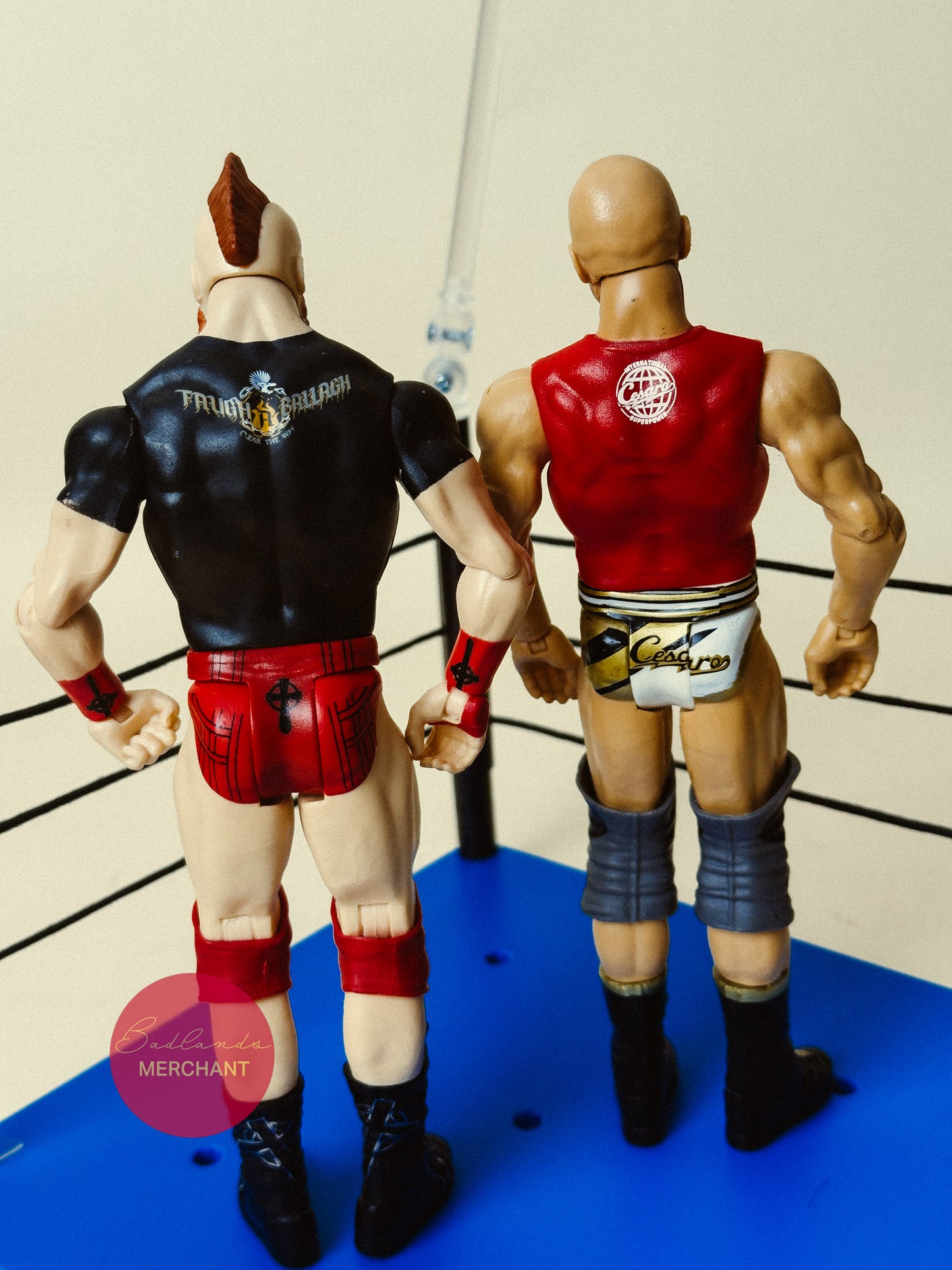 WWE Sheamus & Cesaro Battle Pack 49 Mattel Figures